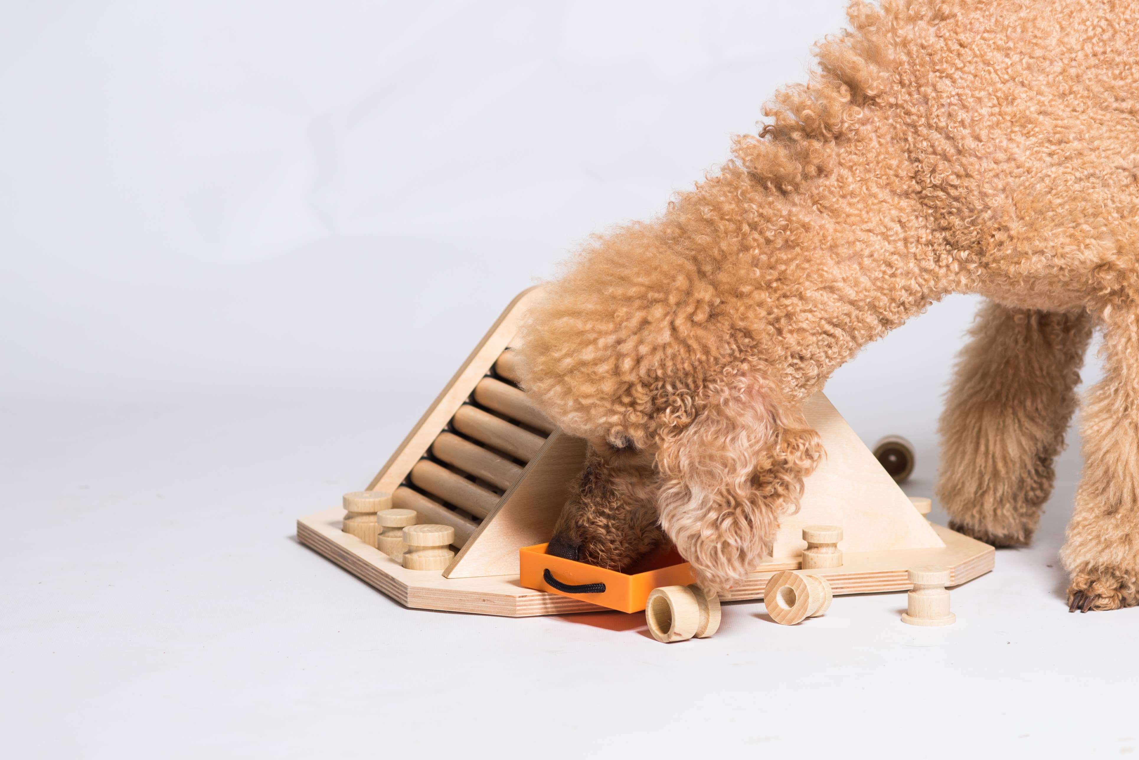My Intelligent Dogs - Pyramid - utmanande och stimulerande hundspel