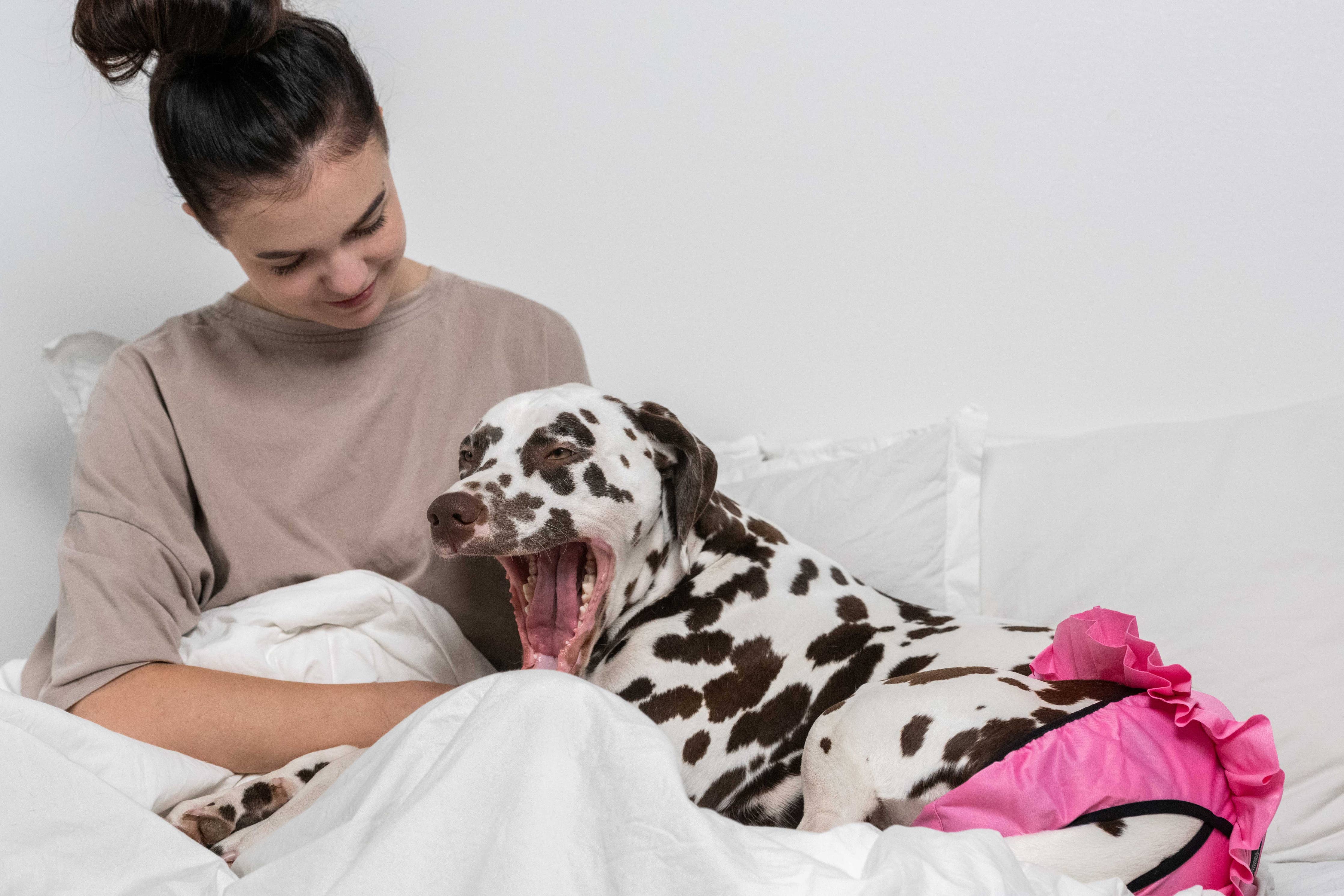 FINNERO BALLERINA Hundhygienbyxor – Rosa | Tvättbara tikskydd