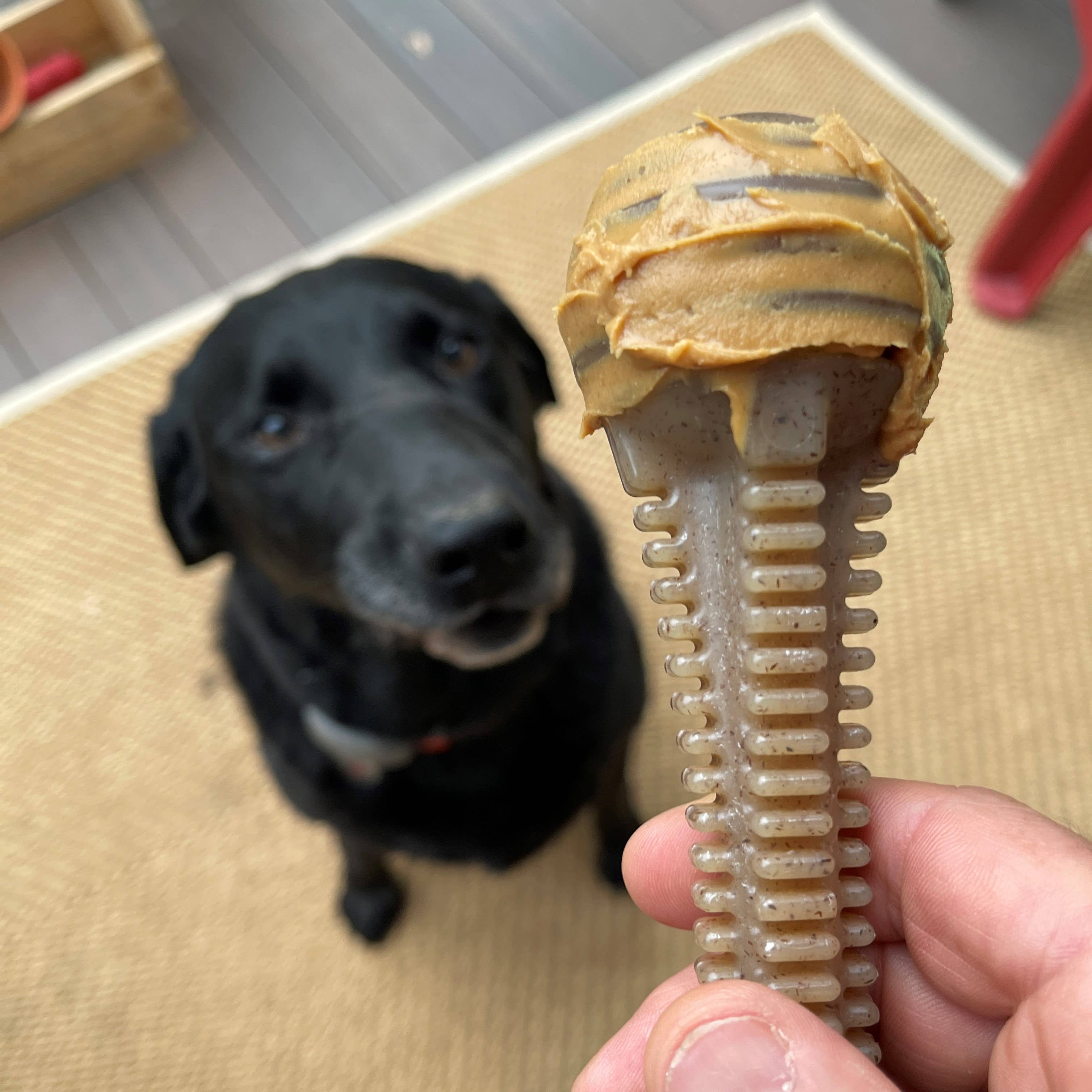 Honungsben Dental Tower – Ultra Hållbar Nylonleksak för Hund