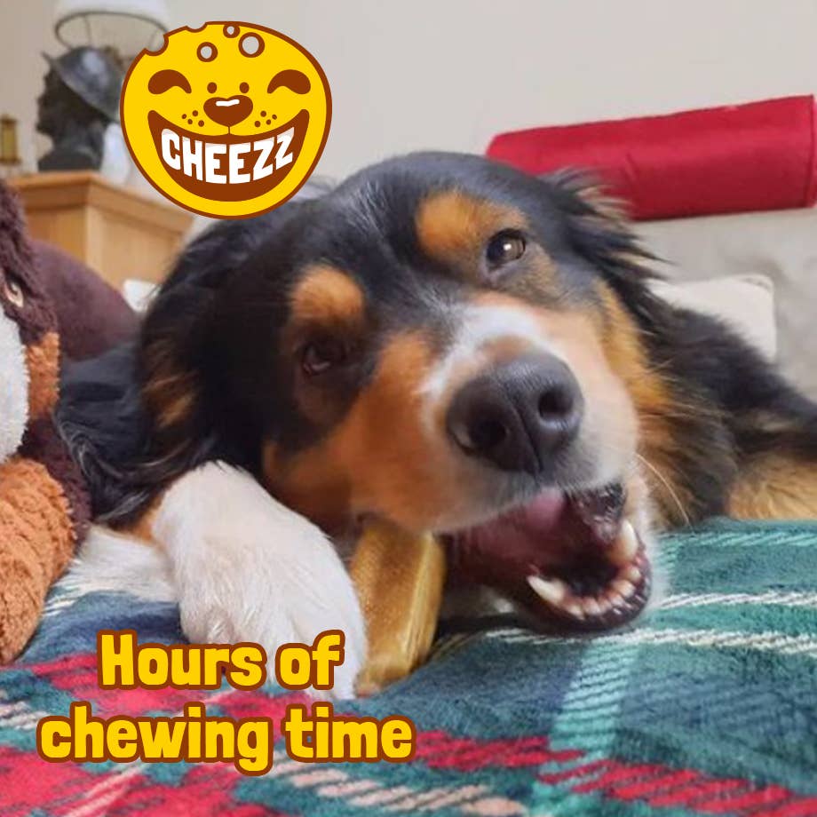 Yakost Himalaya Cheese Chew 180 g | Långvarigt Hundtugg
