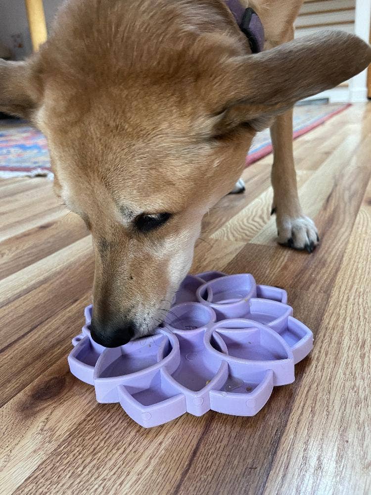 SodaPup Dog Toys - Mandala ”Softie” eTray berikningsbricka för hundar: Ljusgrön