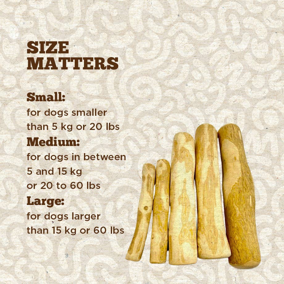 Dilishius Cinnamon Wood Dog Chew – Naturlig tuggleksak av kanelträ | Premium