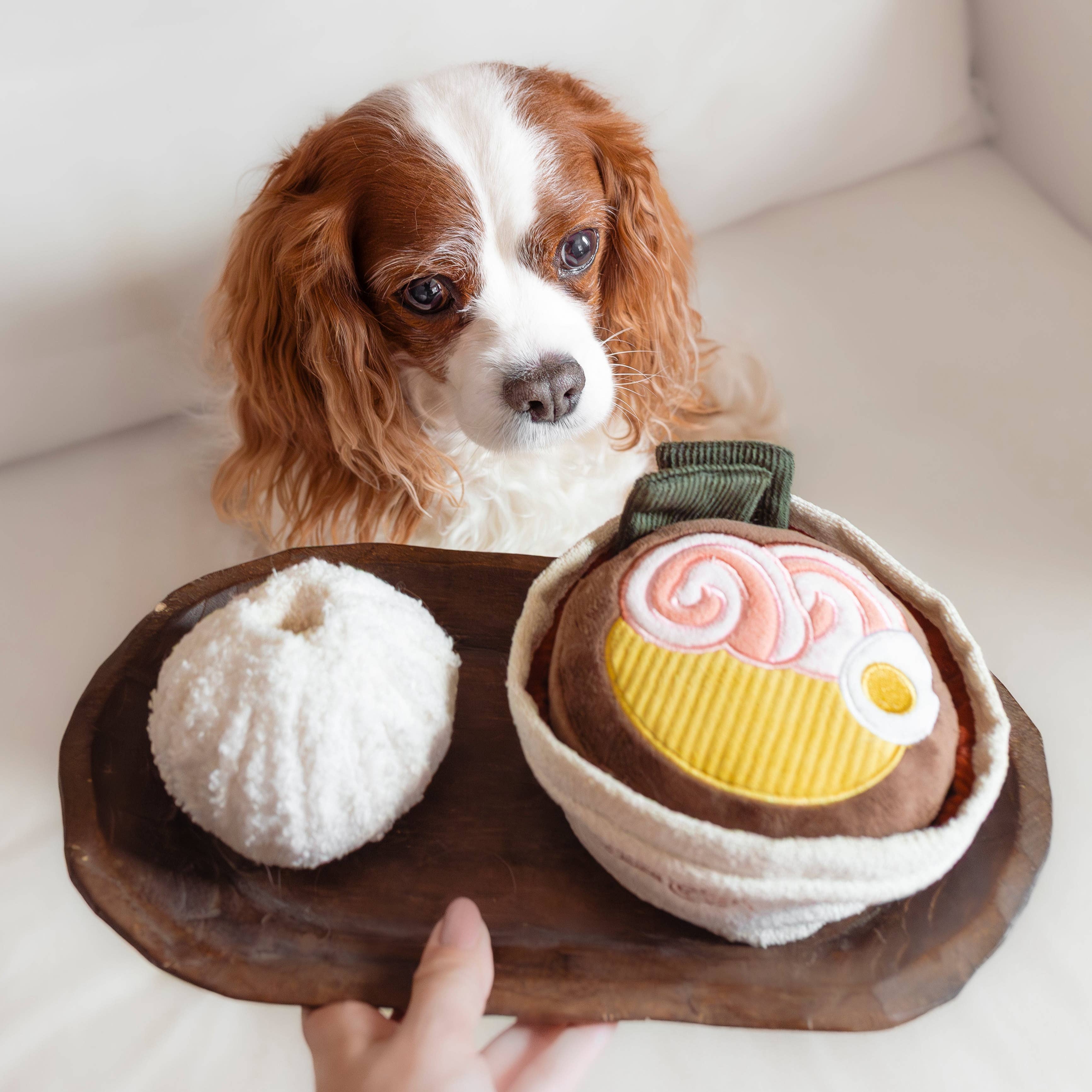 Lambwolf EU – RAMEN // Berikningsleksak för hund // Snuffle-leksak