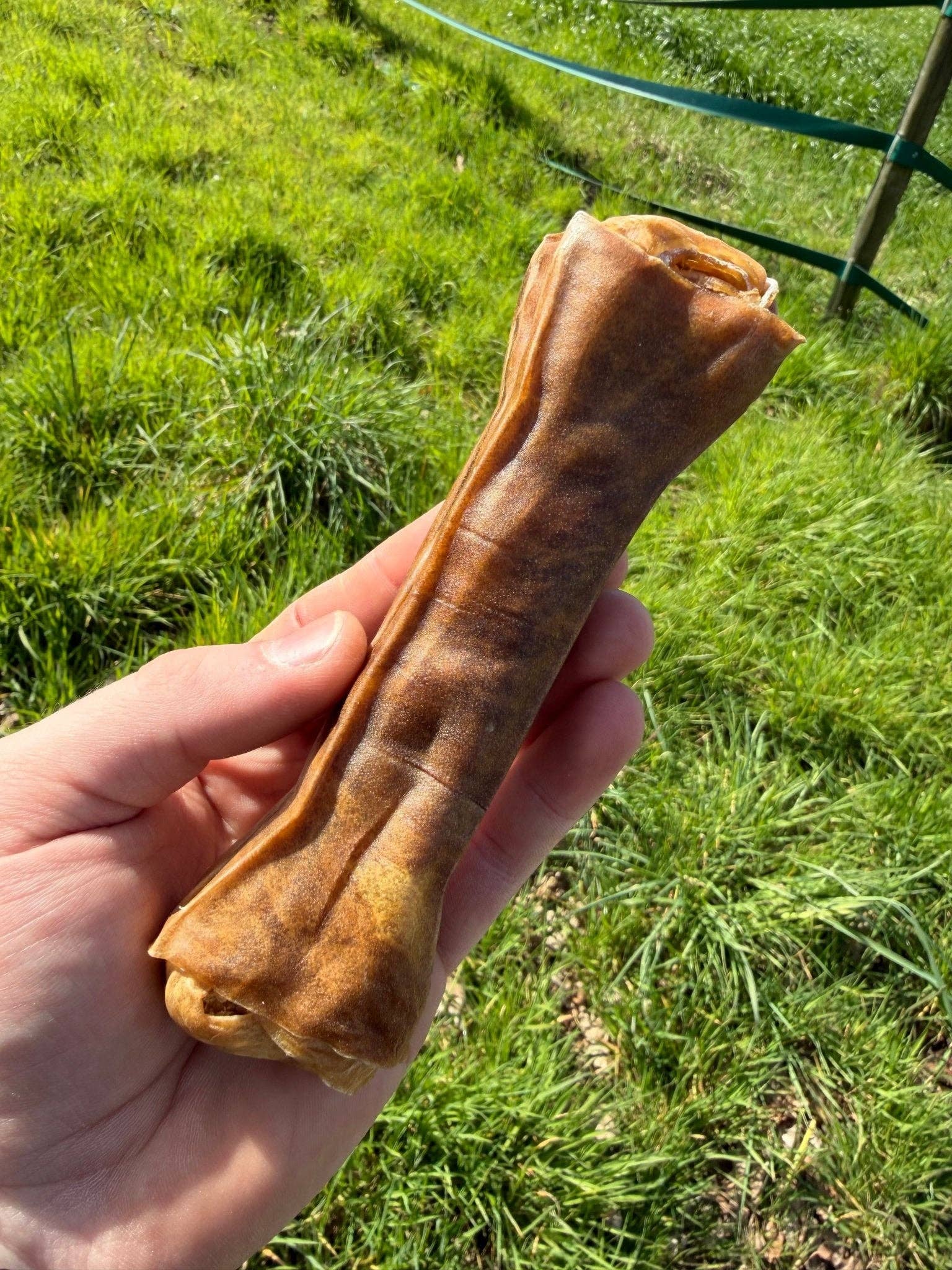 Tuggben av hästhud 17 cm