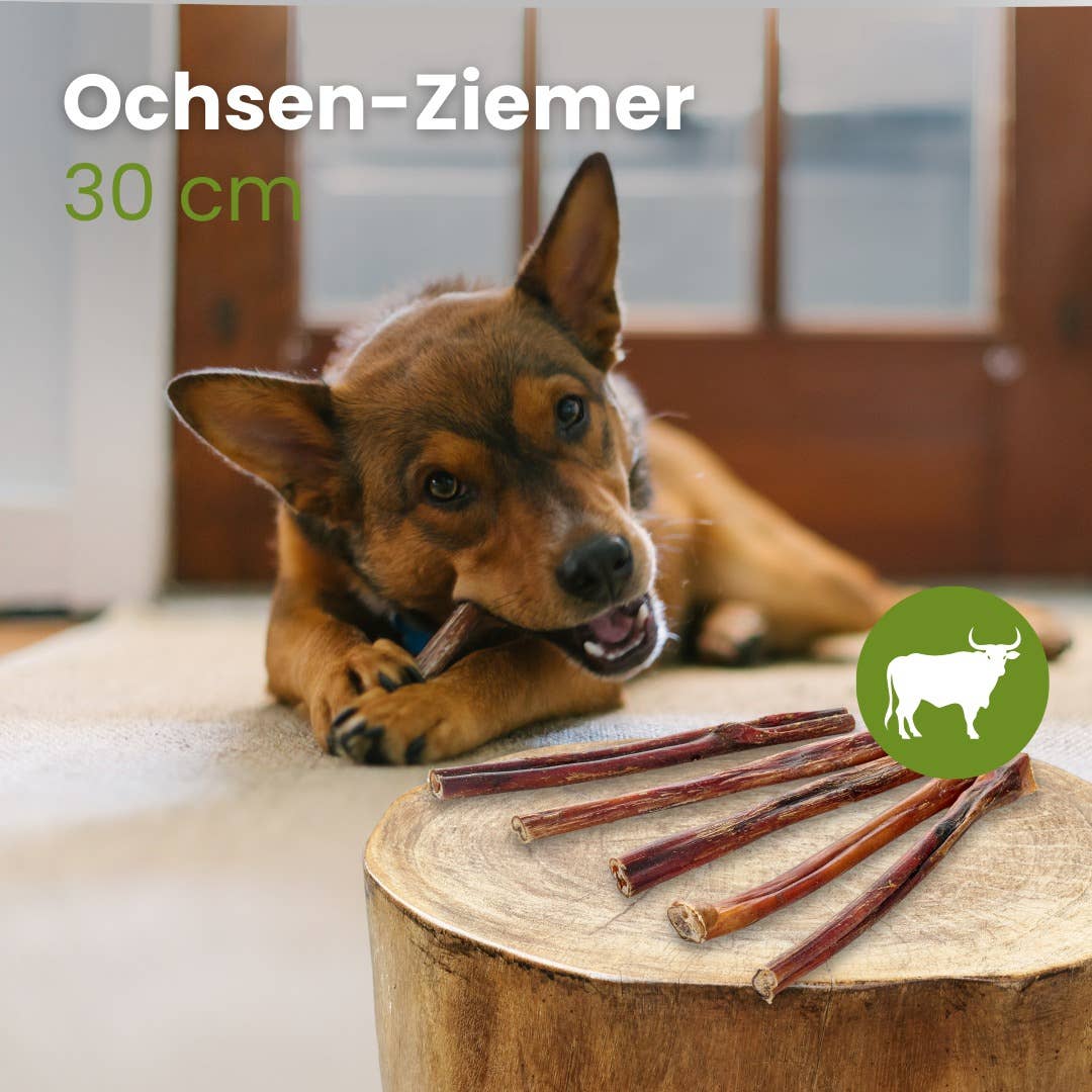 Kauartikel.com GmbH - Ox-Ziemer tuggrulle, cirka 30 cm