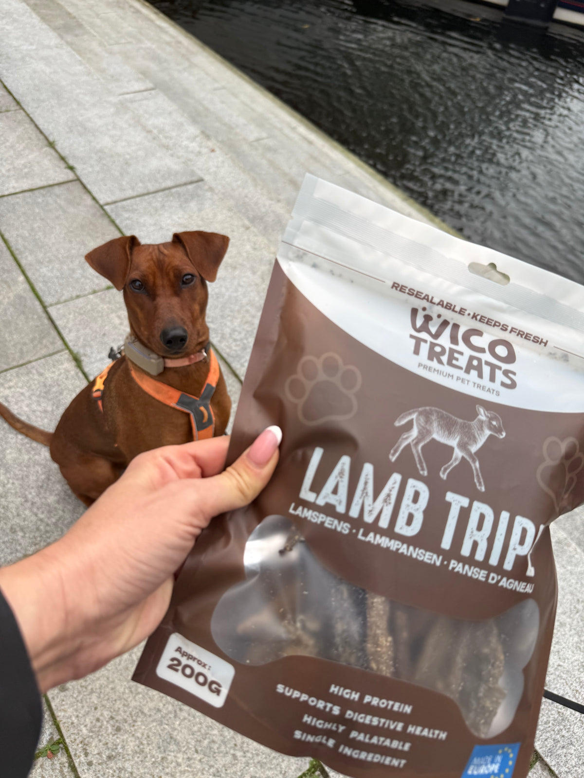 Lammvåm 200 g – monoprotein lamm
