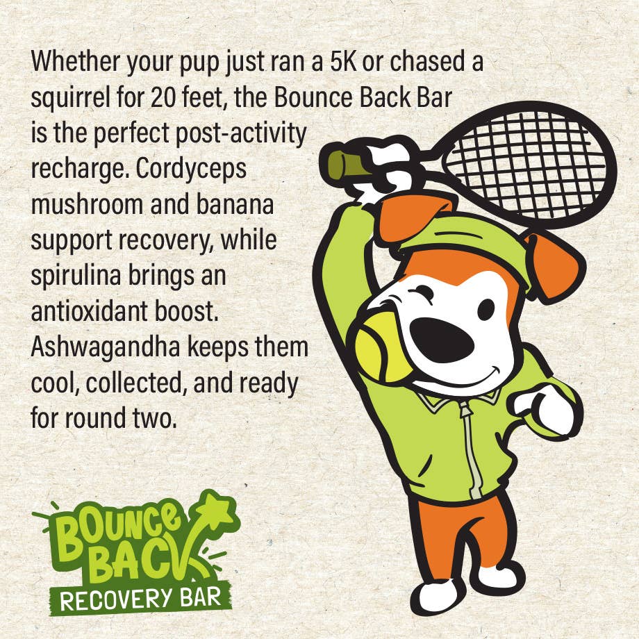 Little Chef Bounce Back Bar – Funktionell proteinbar | Premium