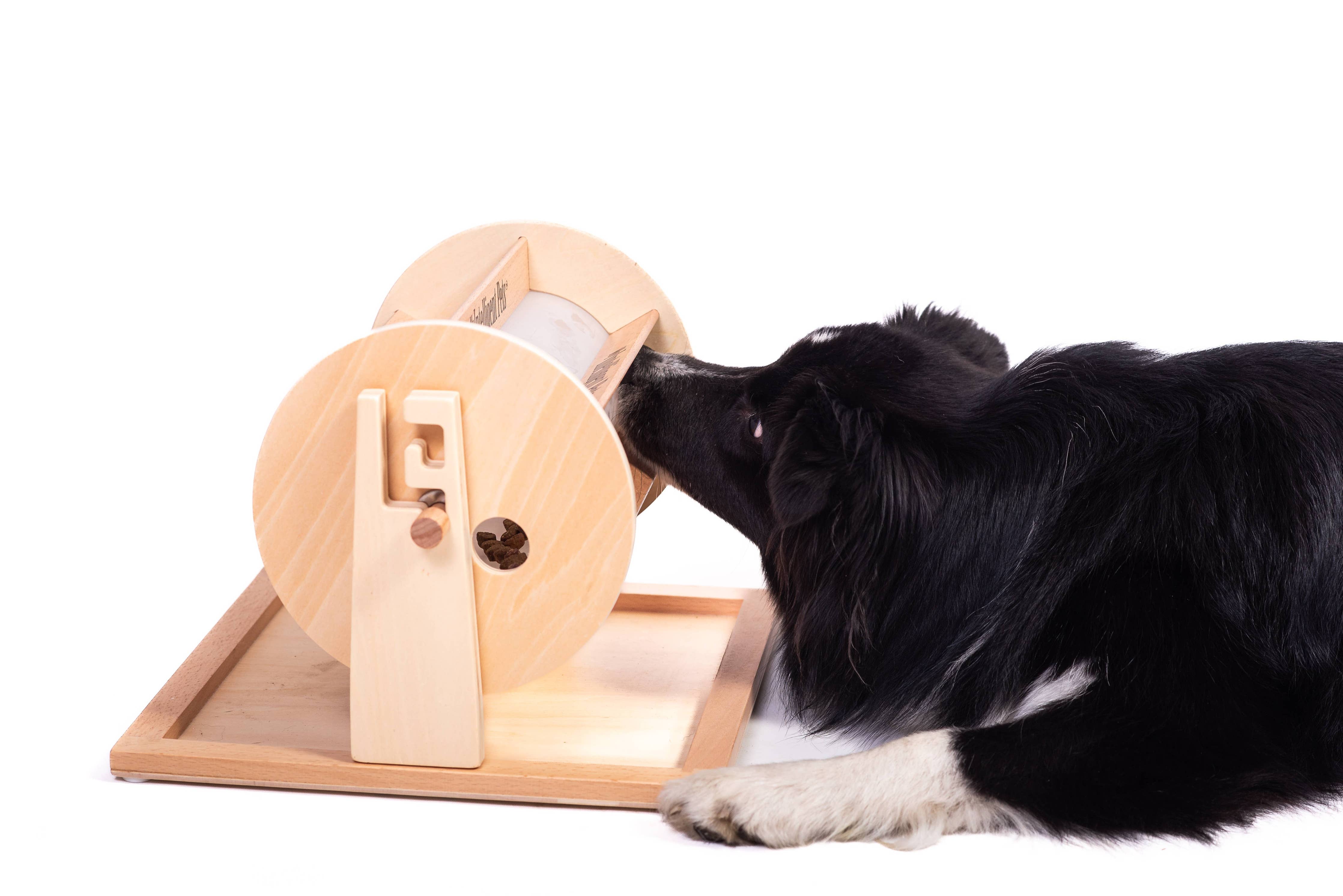 My Intelligent Dogs® Lyckohjulet – intelligensspel och godisutdelare för hundar