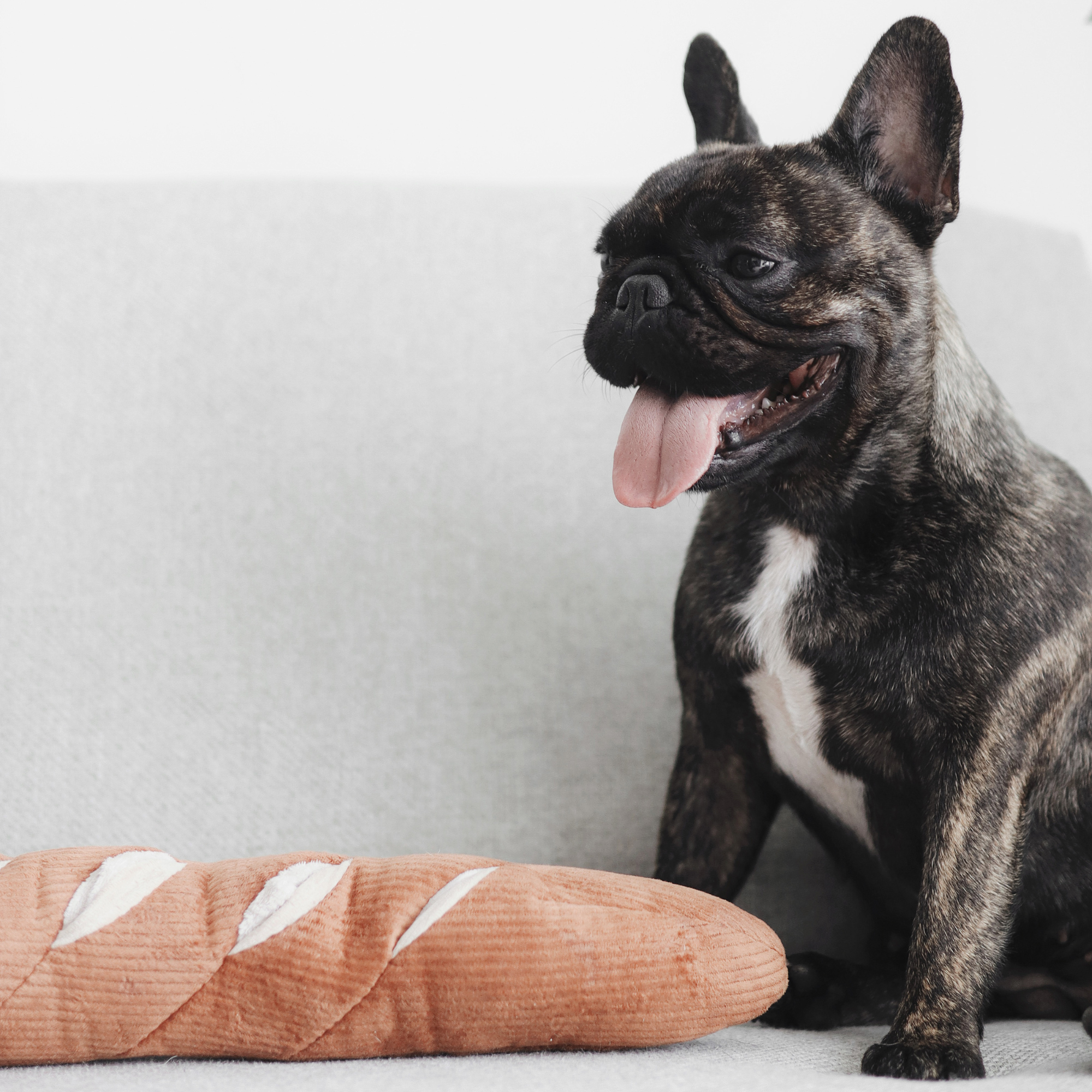 Lambwolf EU – BAGUETTE // Berikningsleksak för hund // Snuffle-leksak