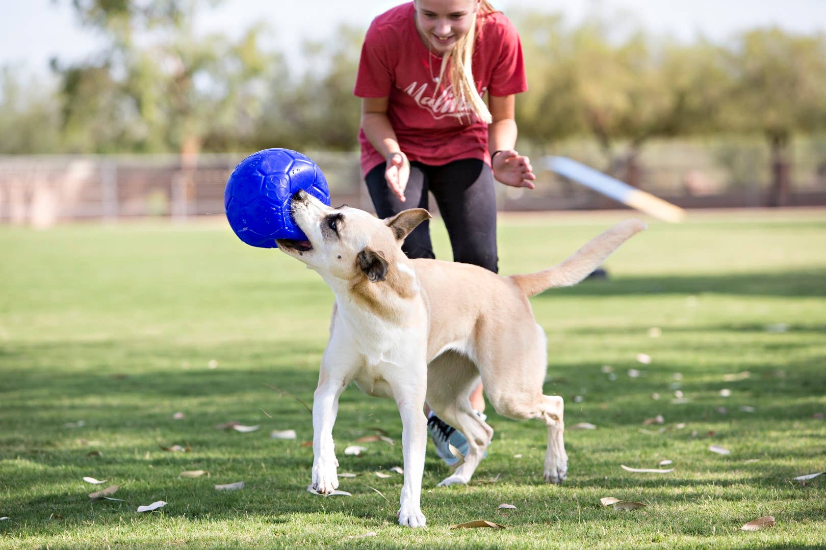 Jolly Fotboll 15 cm oceanblå – flytande hundboll för apport och lek