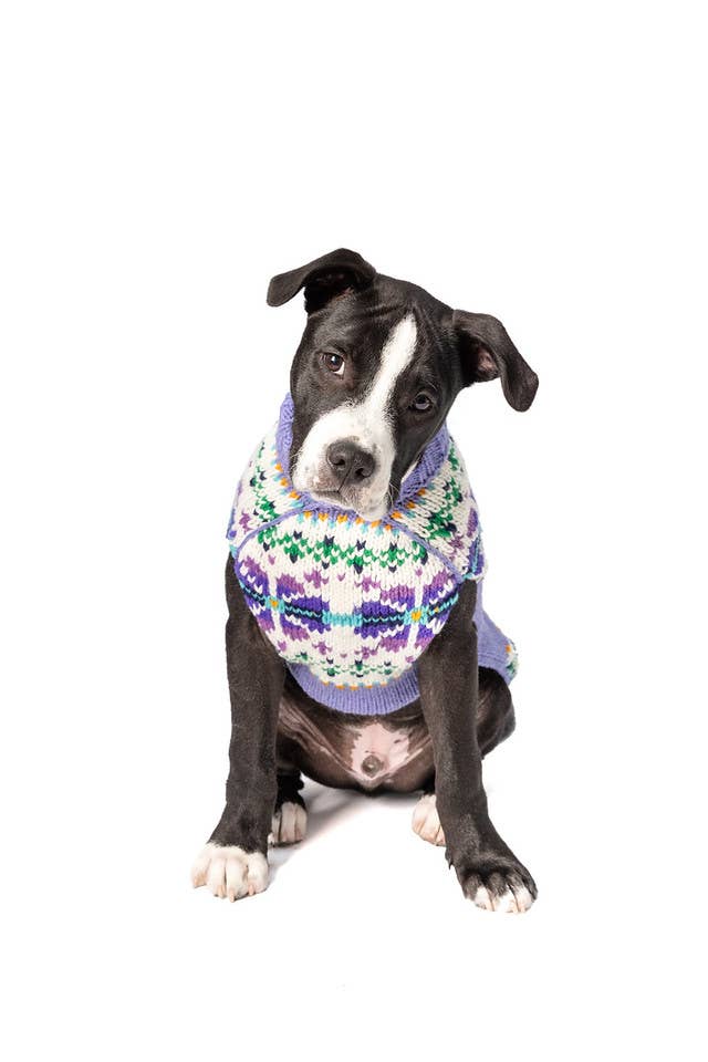 Chilly Dog Lavender Flowers – handstickad hundtröja i 100% fårull XL