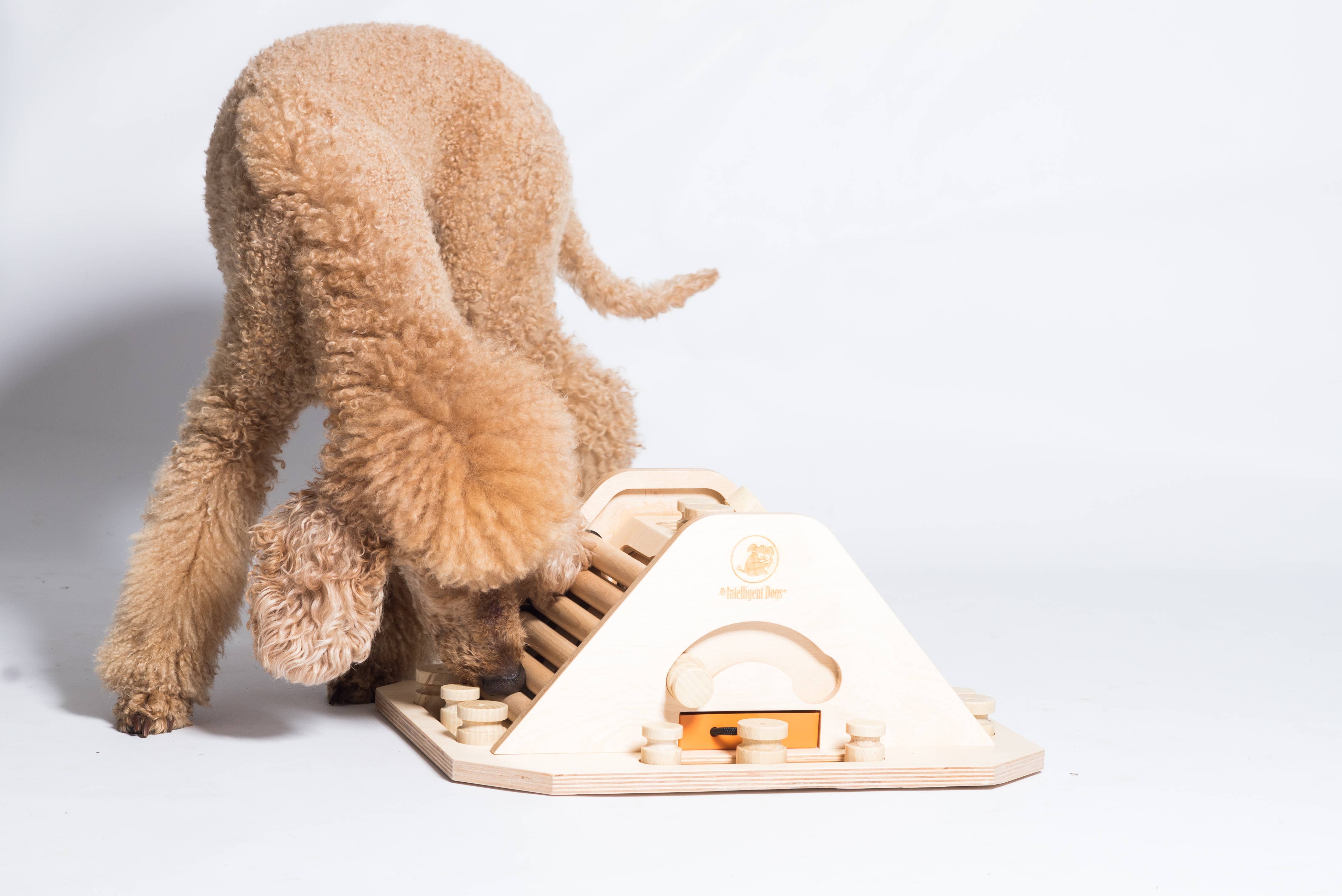 My Intelligent Dogs - Pyramid - utmanande och stimulerande hundspel