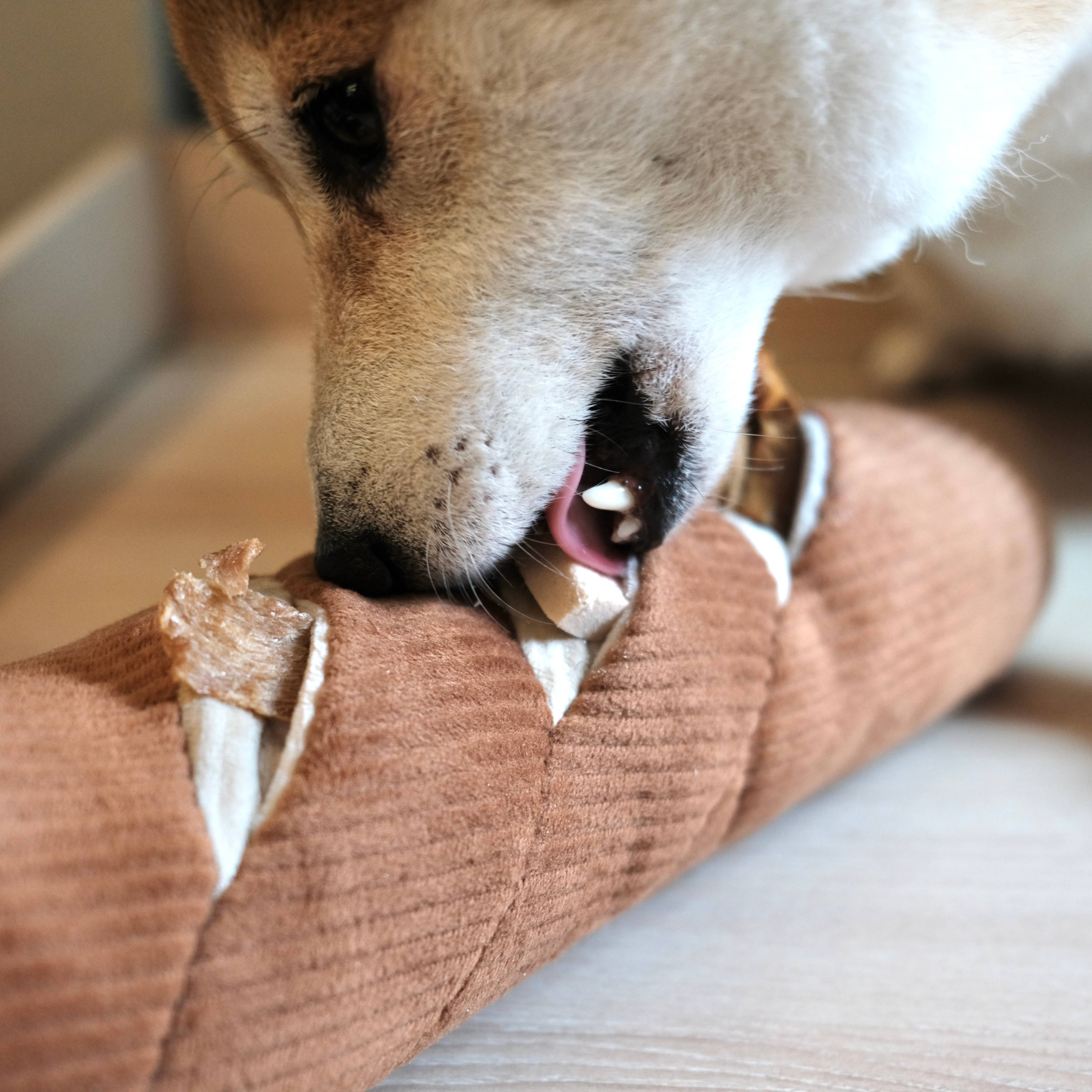 Lambwolf EU – BAGUETTE // Berikningsleksak för hund // Snuffle-leksak