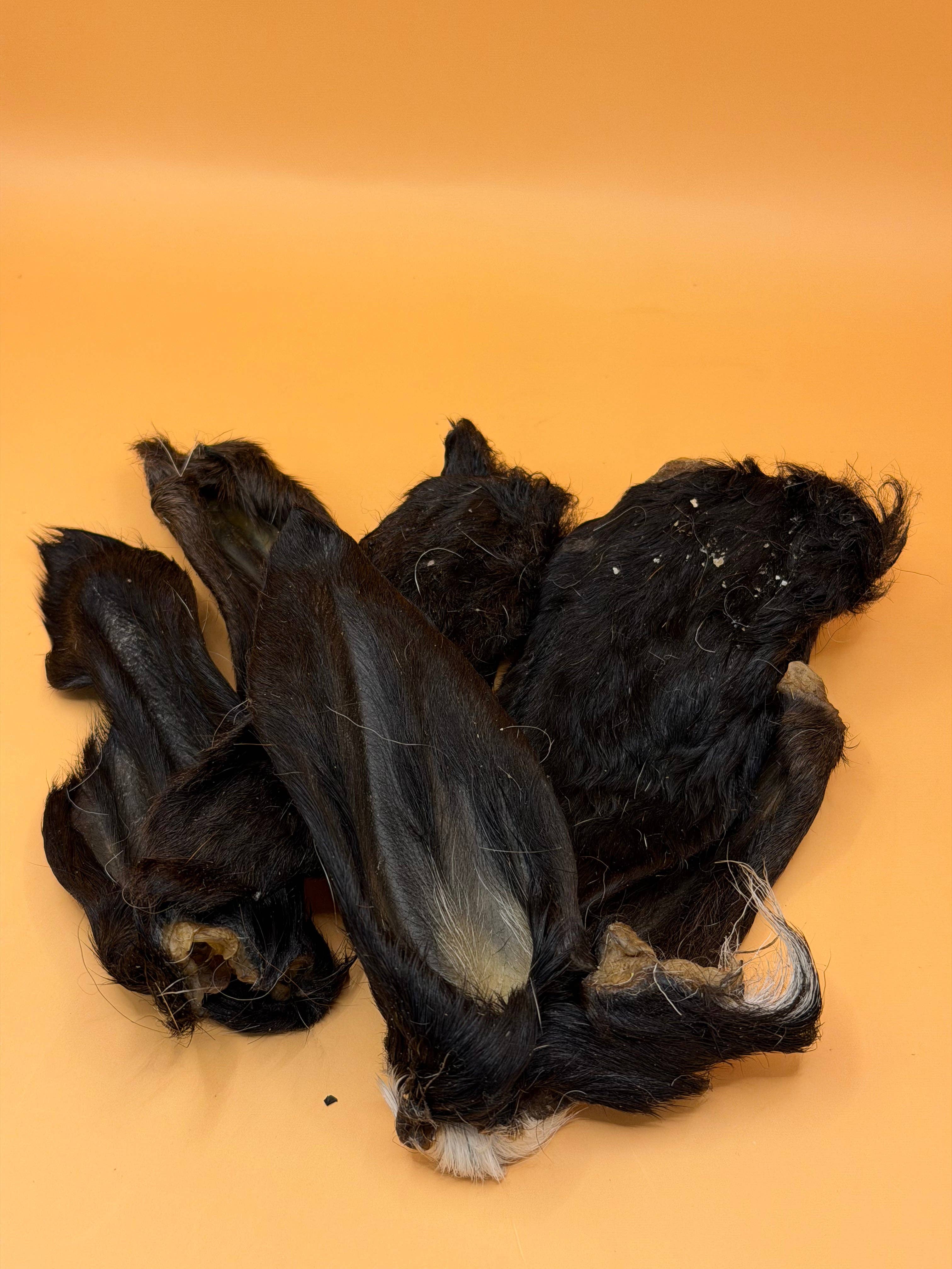 Lammöron med päls 100 g – naturligt hundtugg för mage, tänder och sysselsättning