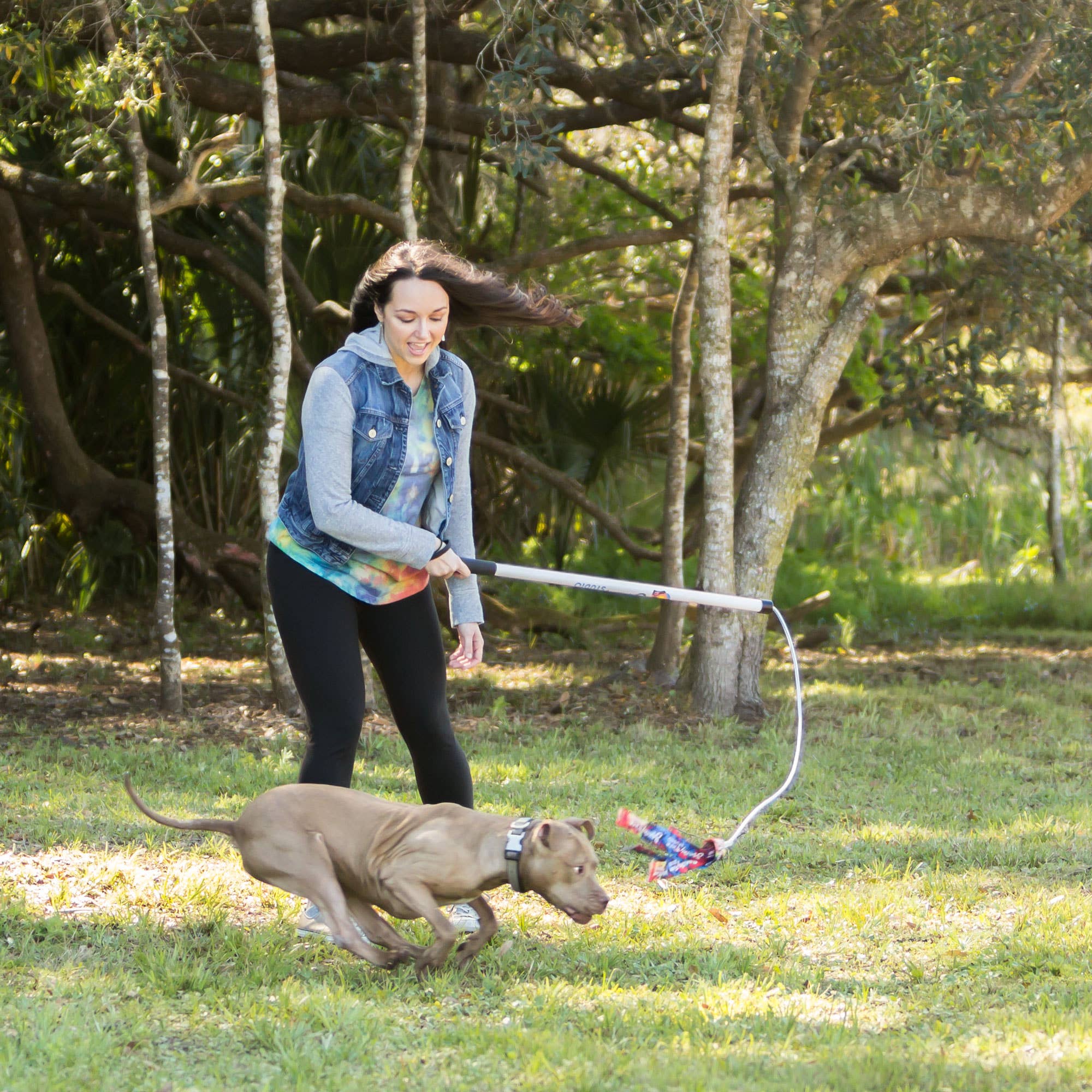 Flirtpole Hund – För Power Chewers | Staffe, Pitbull & Amstaff utan pip