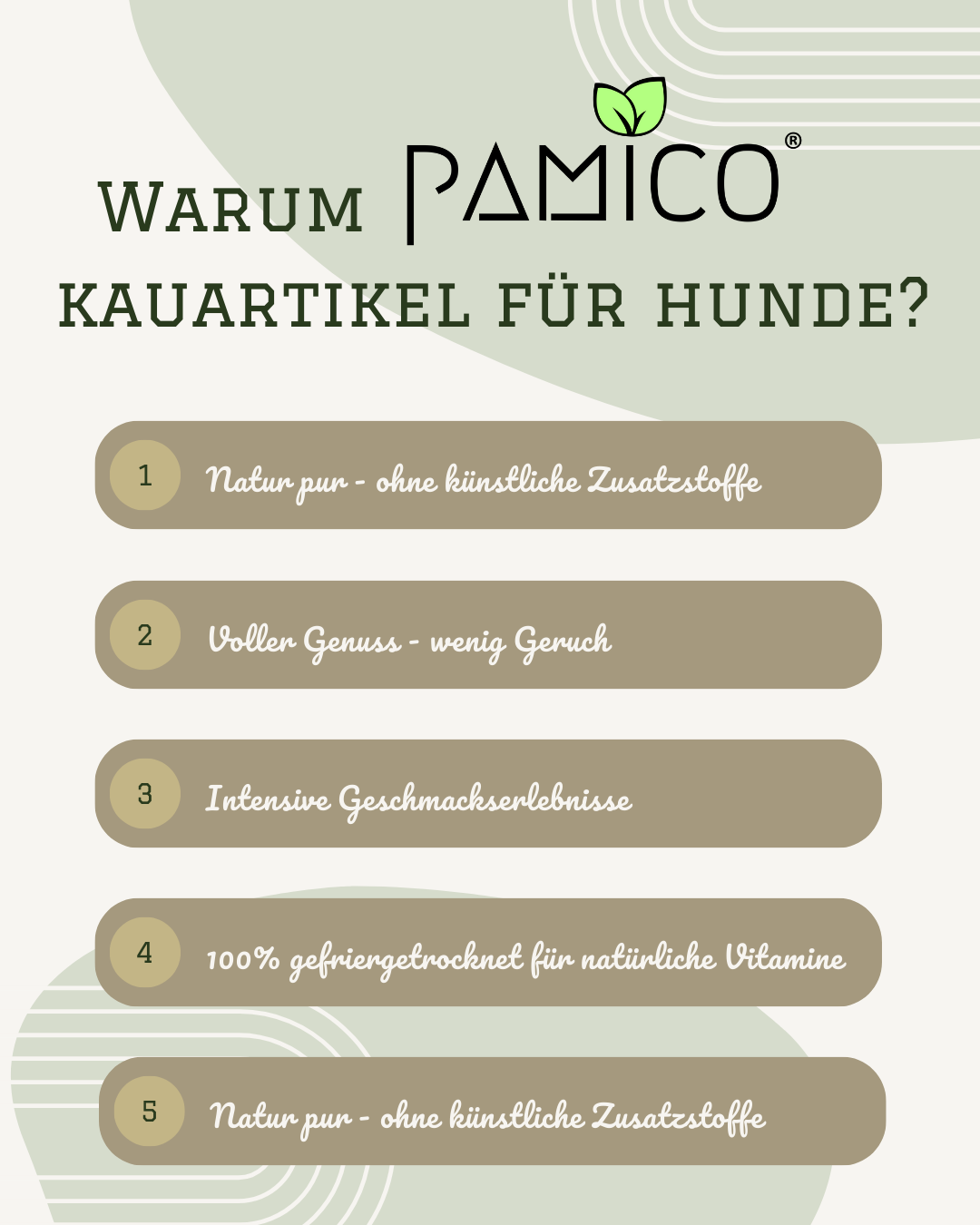 Pamico – Frystorkad ost (Tilsiter, utan salt) | Proteinrikt tuggodis för hundar