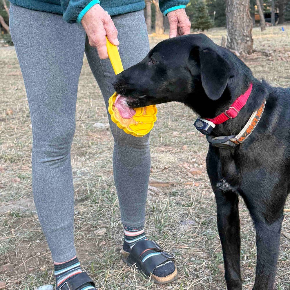 Glassstrut slickpinne rosa – SodaPup Lick Stick för hund