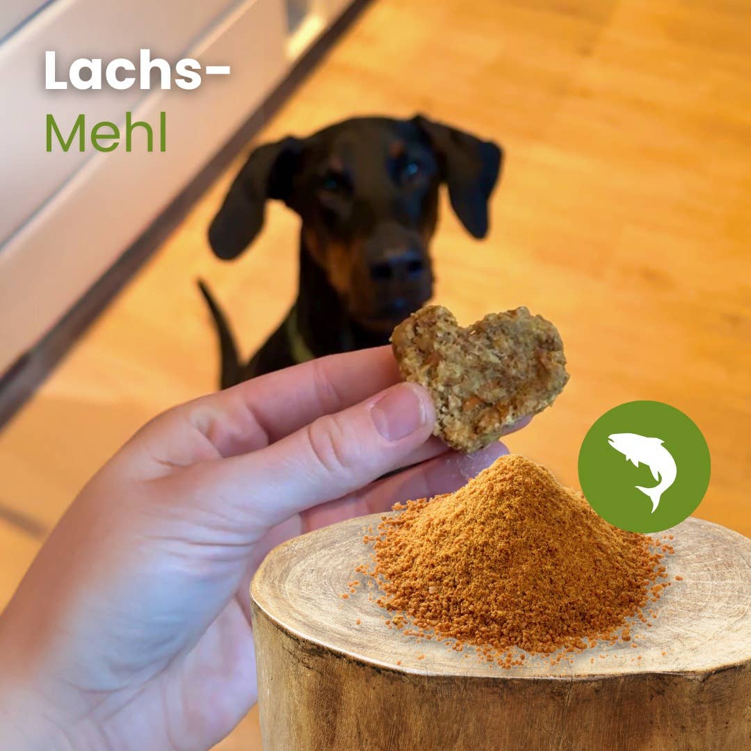 Kauartikel.com GmbH - Laxmjöl, torkat och malt