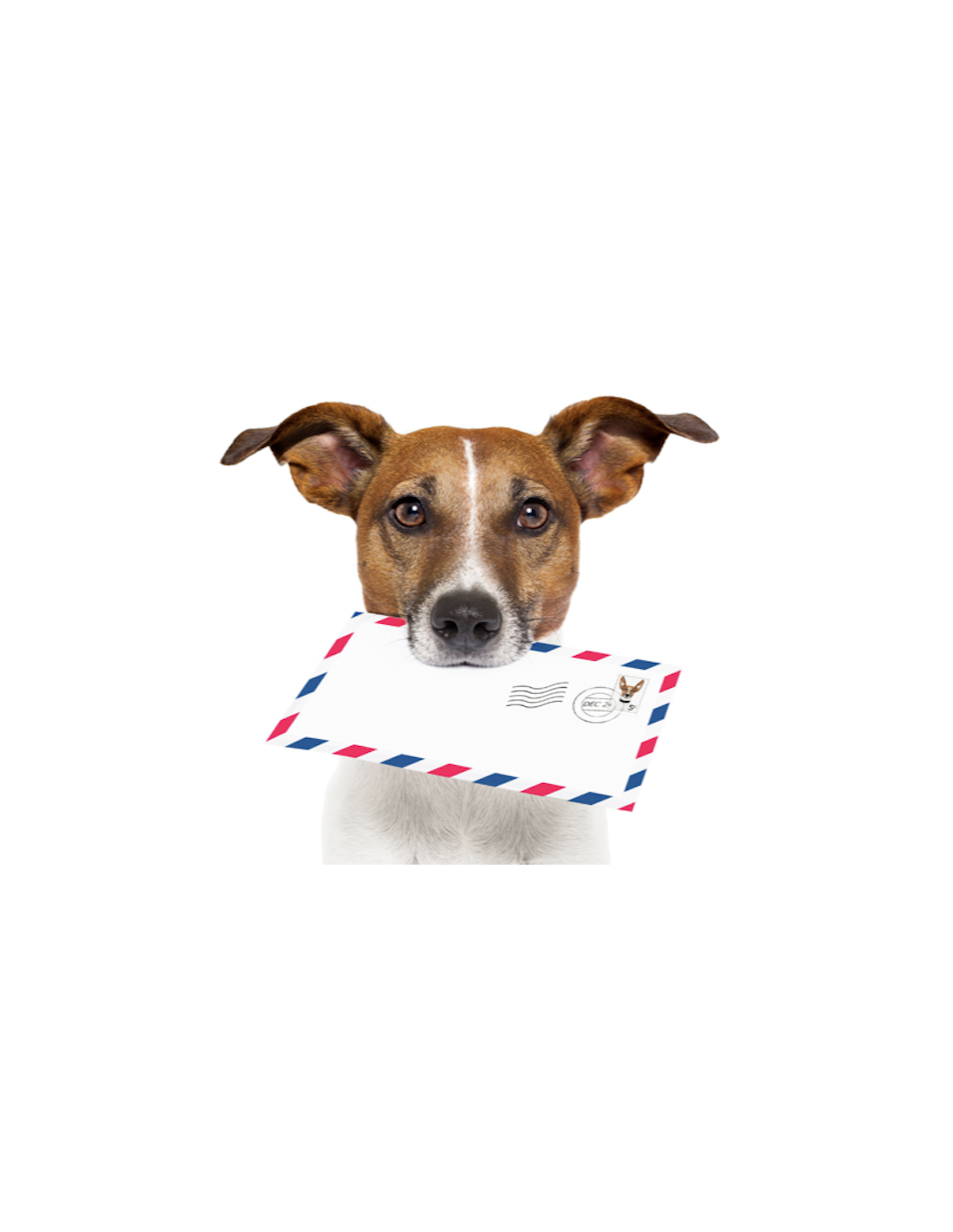 Poochie-Post – Ätbart Hälsningskort för Hund | Present & Hundgodis