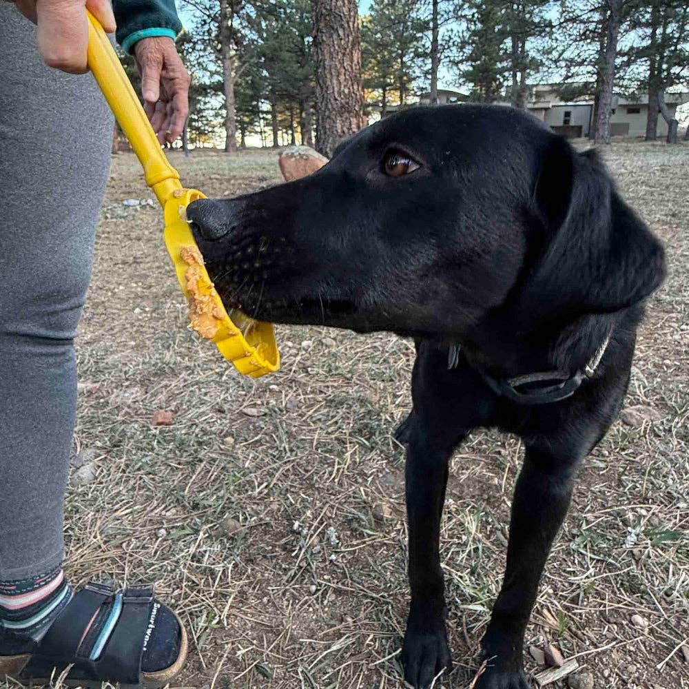 Glassstrut slickpinne rosa – SodaPup Lick Stick för hund