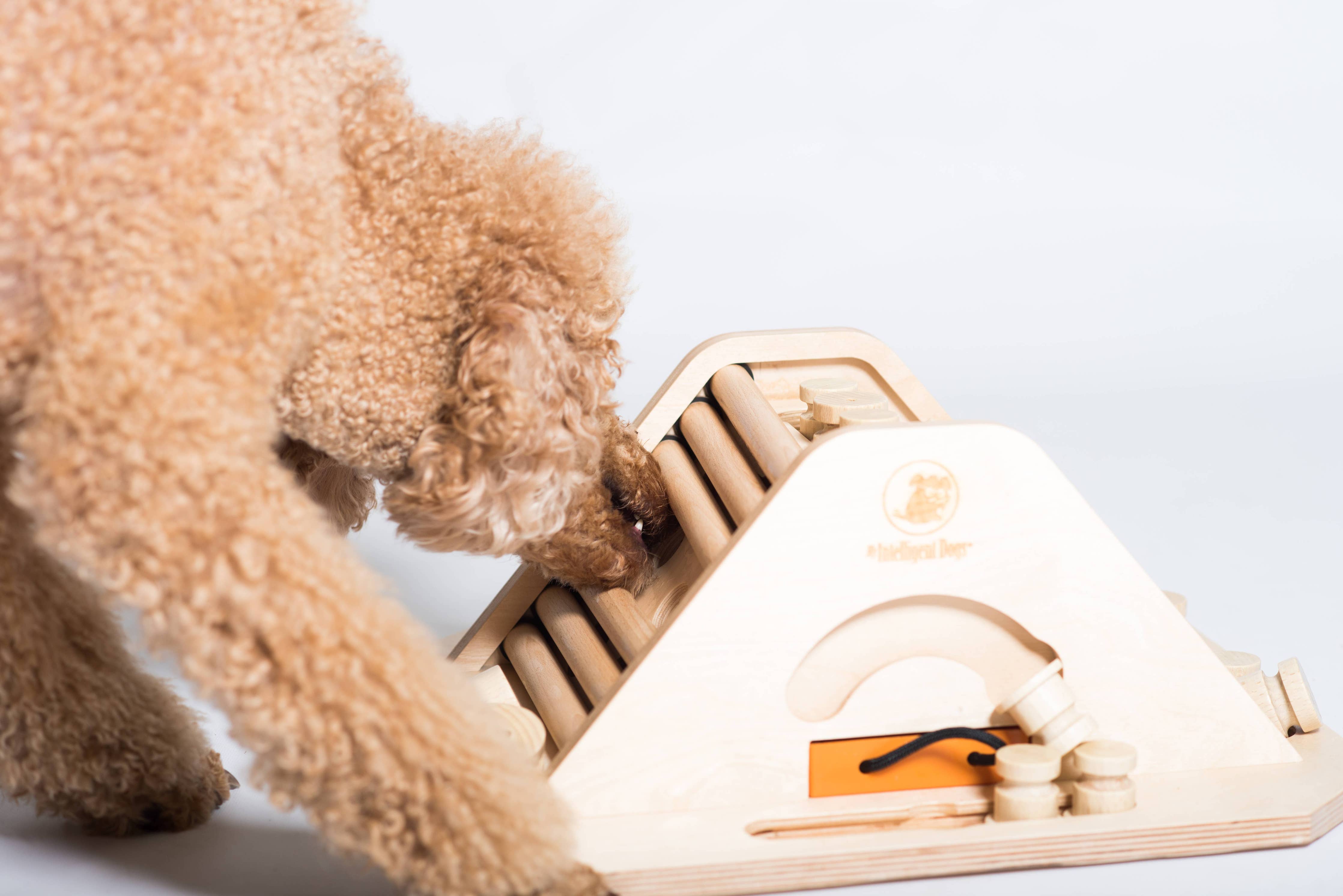 My Intelligent Dogs - Pyramid - utmanande och stimulerande hundspel