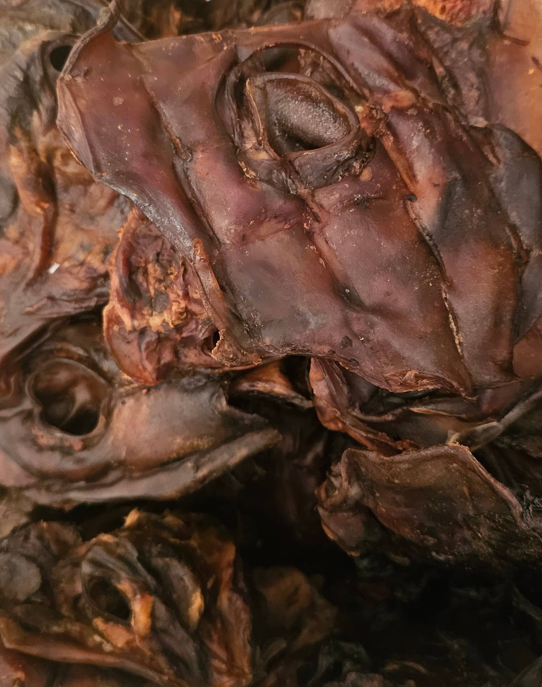 Torkad hästhud 150 g | Naturligt hundtugg