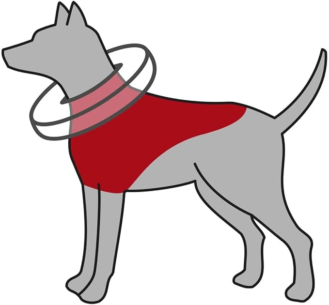 Trixie uppblåsbar tratt för hund M (40–45 cm) – mjuk skyddskrage