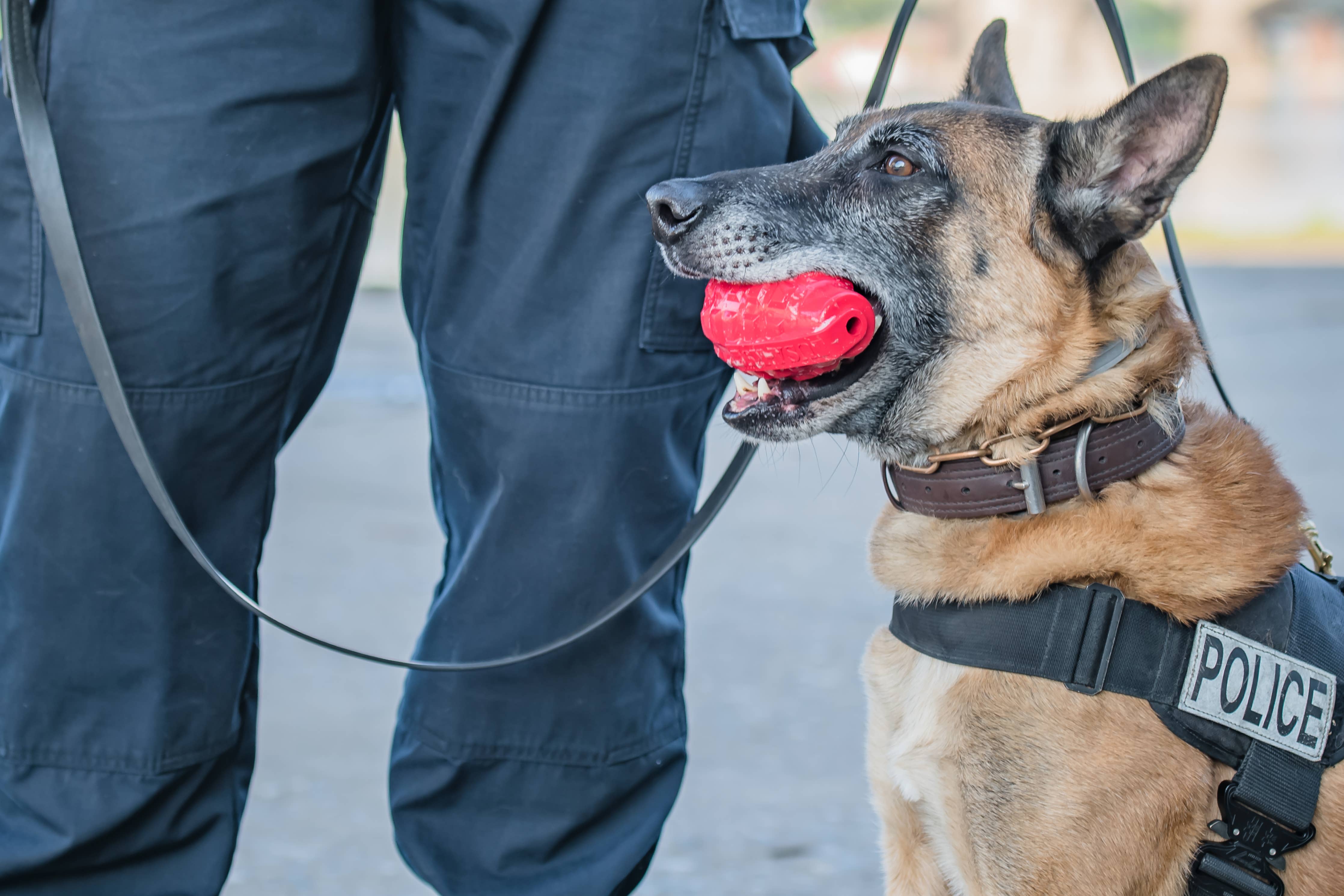 K9 Granat – Röd | Extremt hållbar tuggleksak för starka käkar