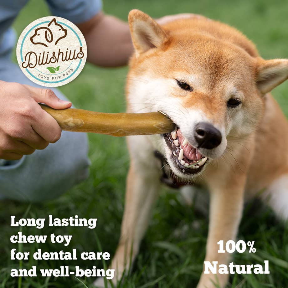 Dilishius Cinnamon Wood Dog Chew – Naturlig tuggleksak av kanelträ | Premium