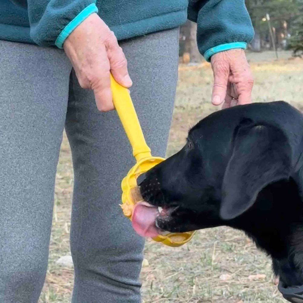 Blomslickpinne Ljusblå – SodaPup Lick Stick för hund