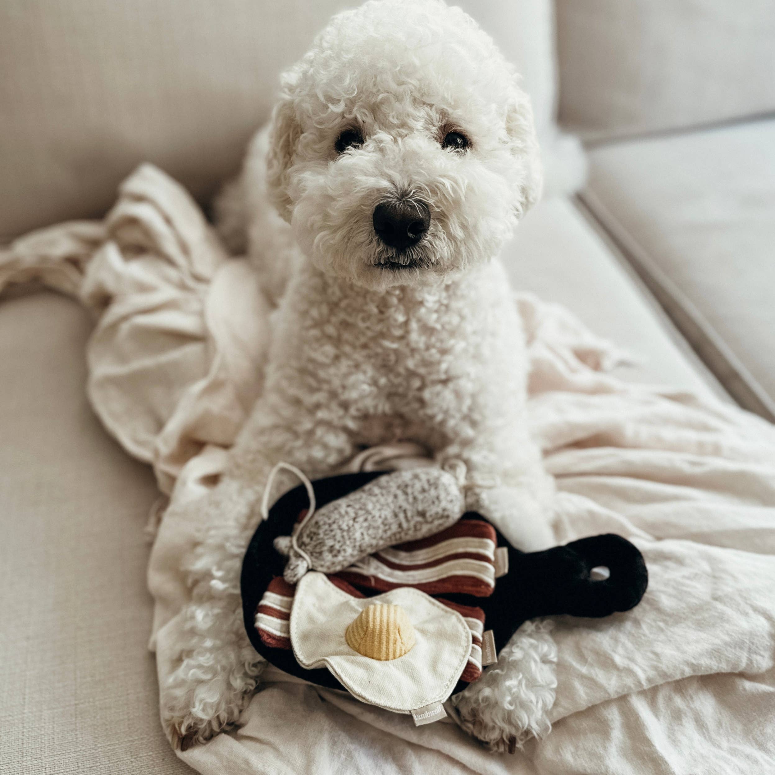 Lambwolf EU – Bfast Set // Berikningsleksak för hund // Snuffle-leksak