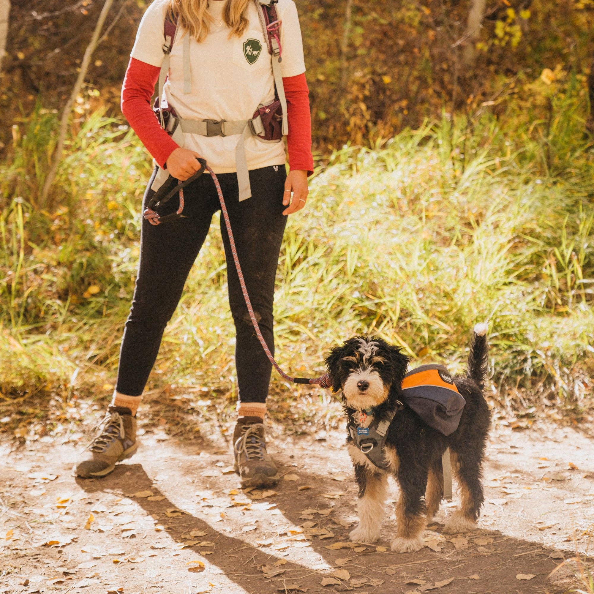 Camping With Dogs and AlphaPak - Adventurer 2-delat hundpaket med EZ Latch™: Lila / Medium - Bröst 22-27in - Hals 14-20in.