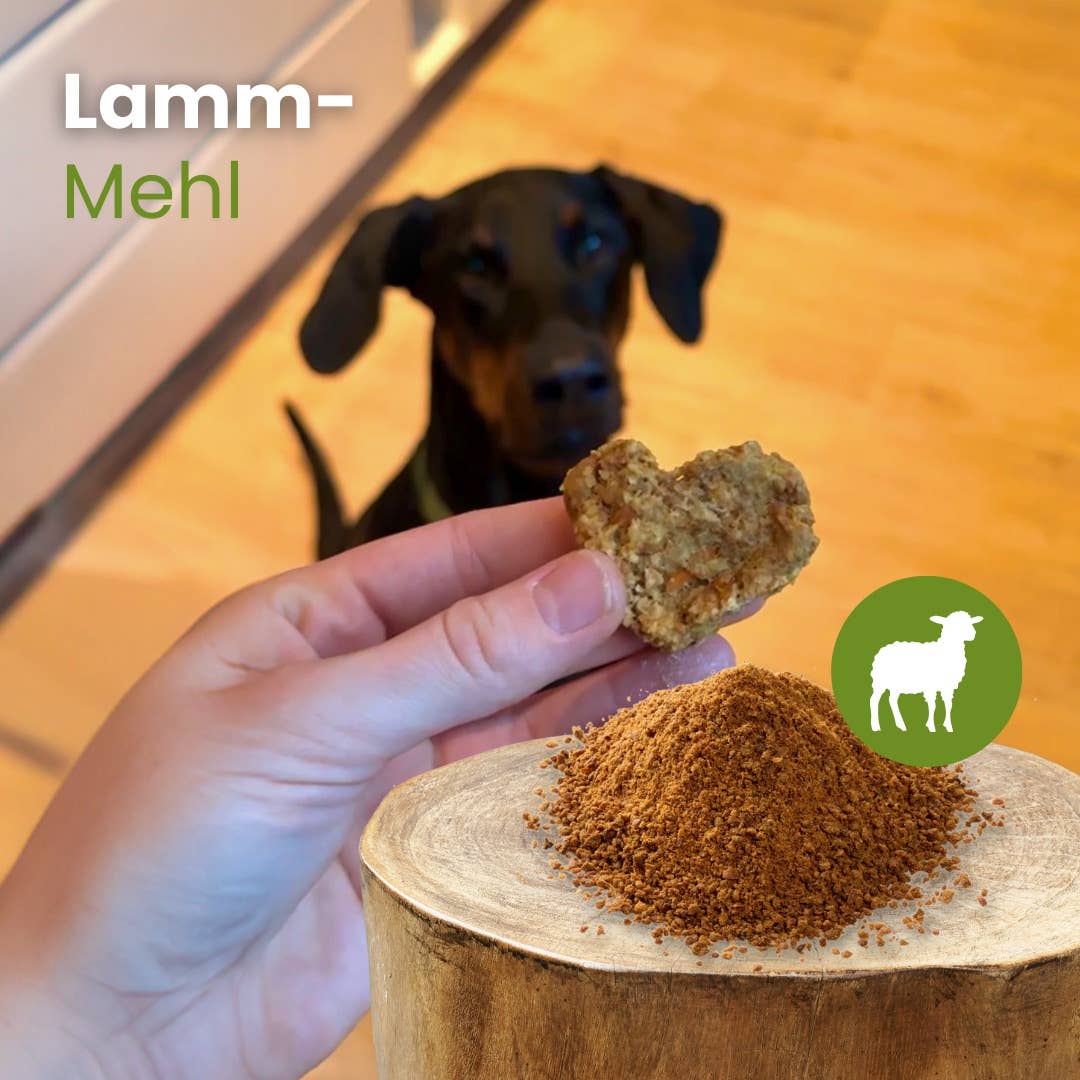 Kauartikel.com GmbH - Torkat och malt lammkött