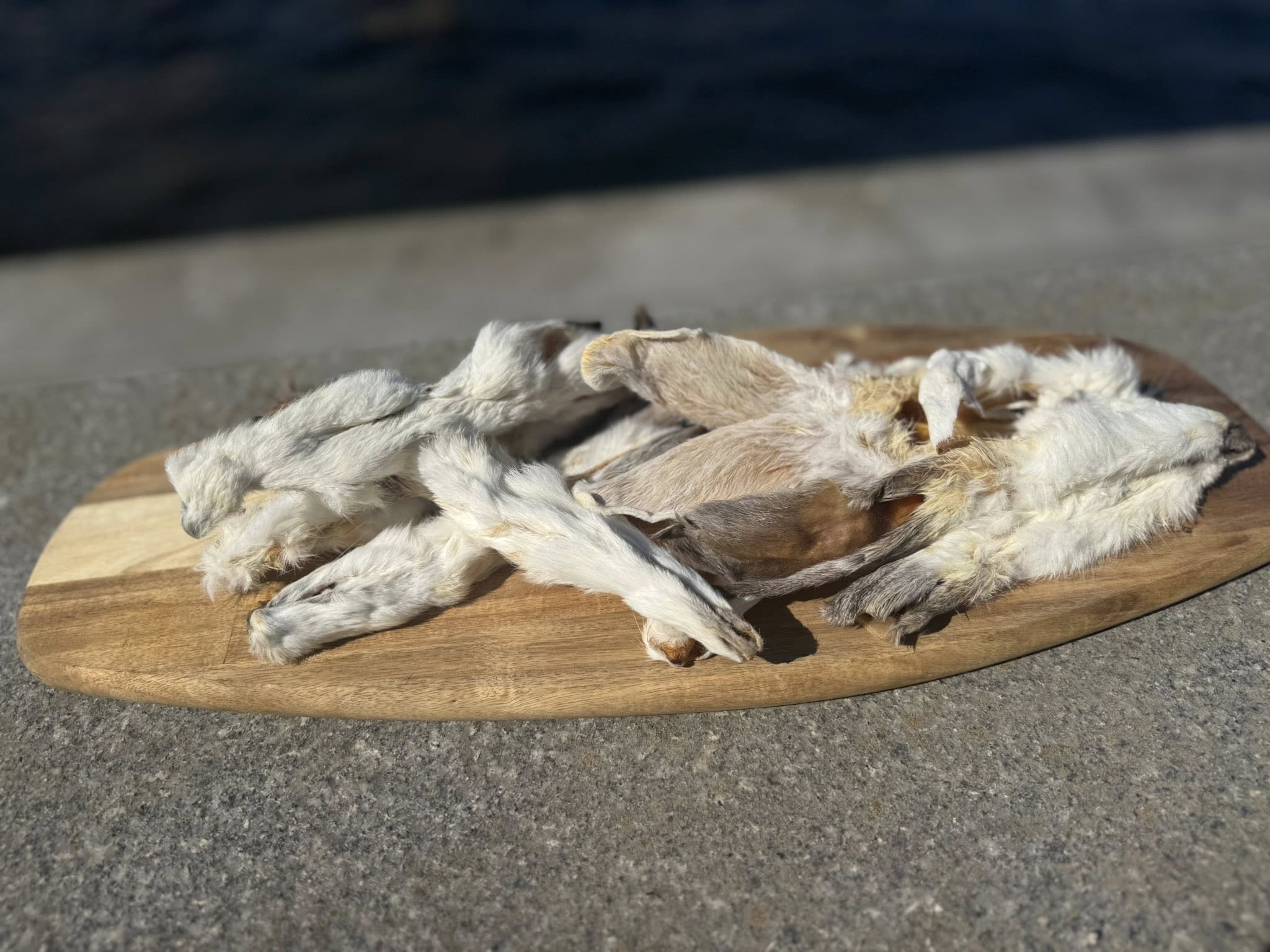 Kaninöron med päls |