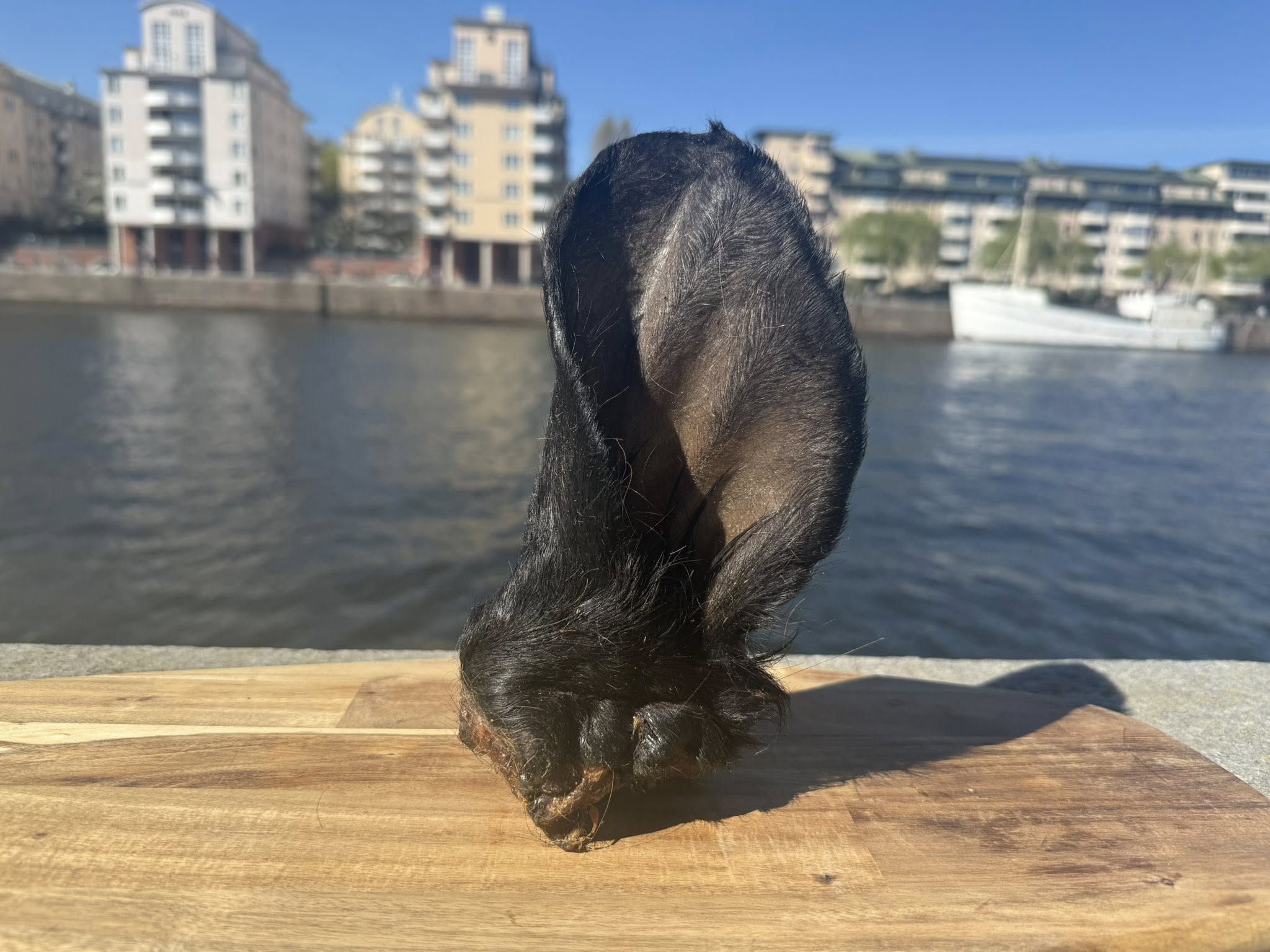 Extra stora oxöron med päls XL