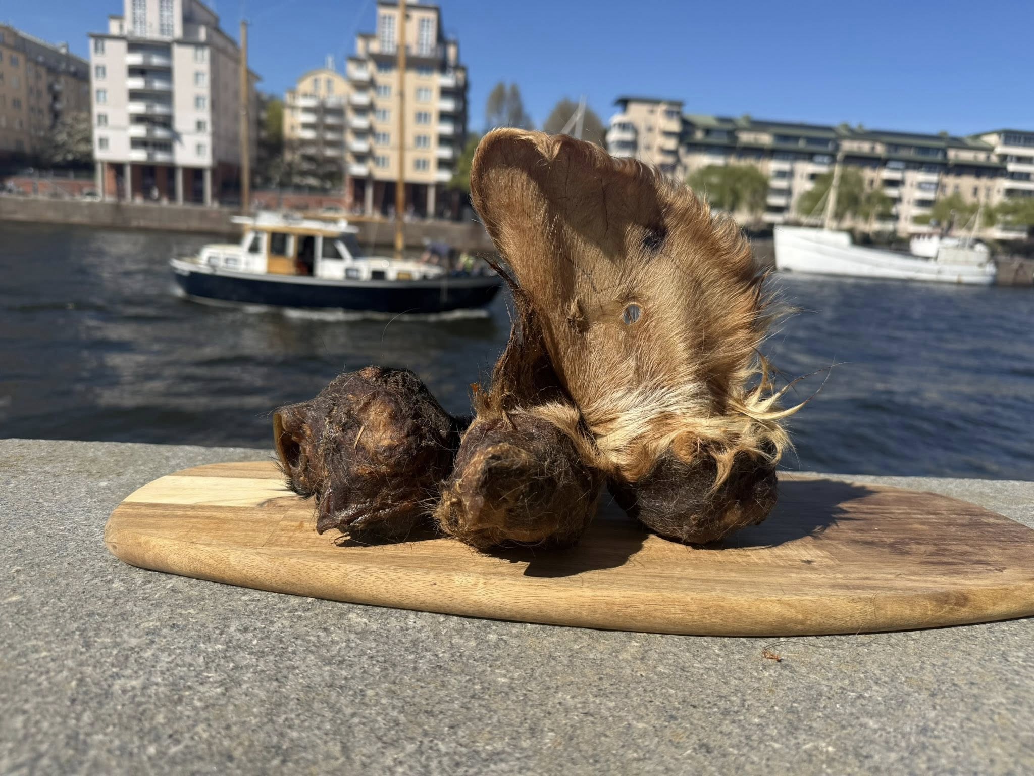 Extra stora oxöron med päls XL