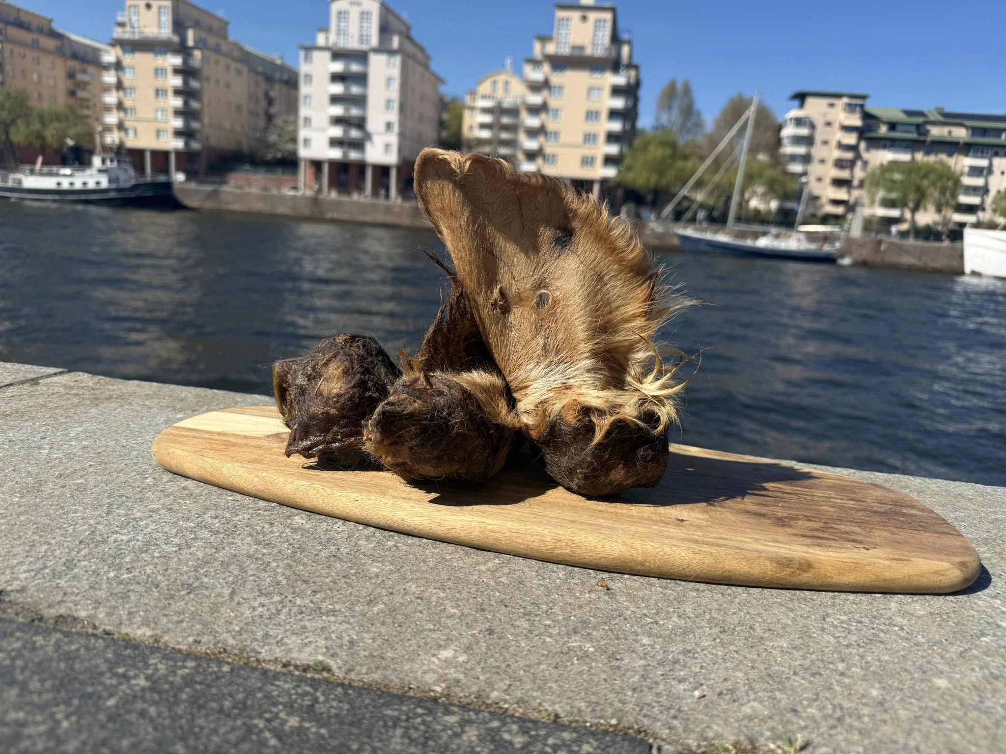 Extra stora oxöron med päls XL
