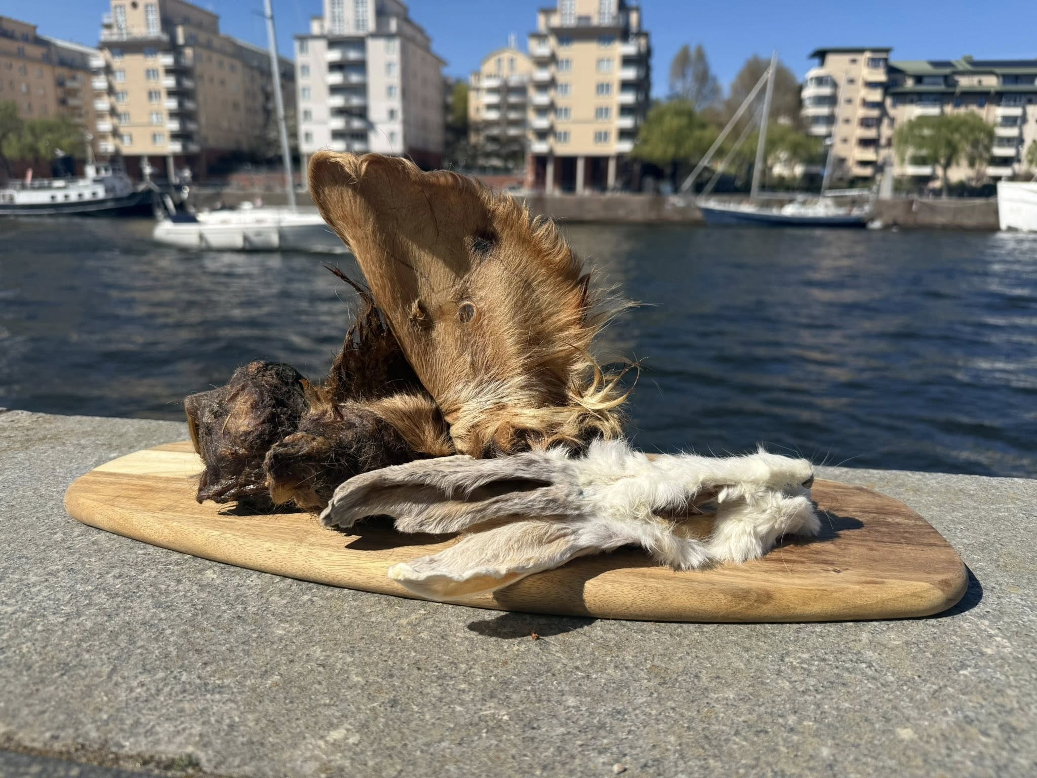 Extra stora oxöron med päls XL