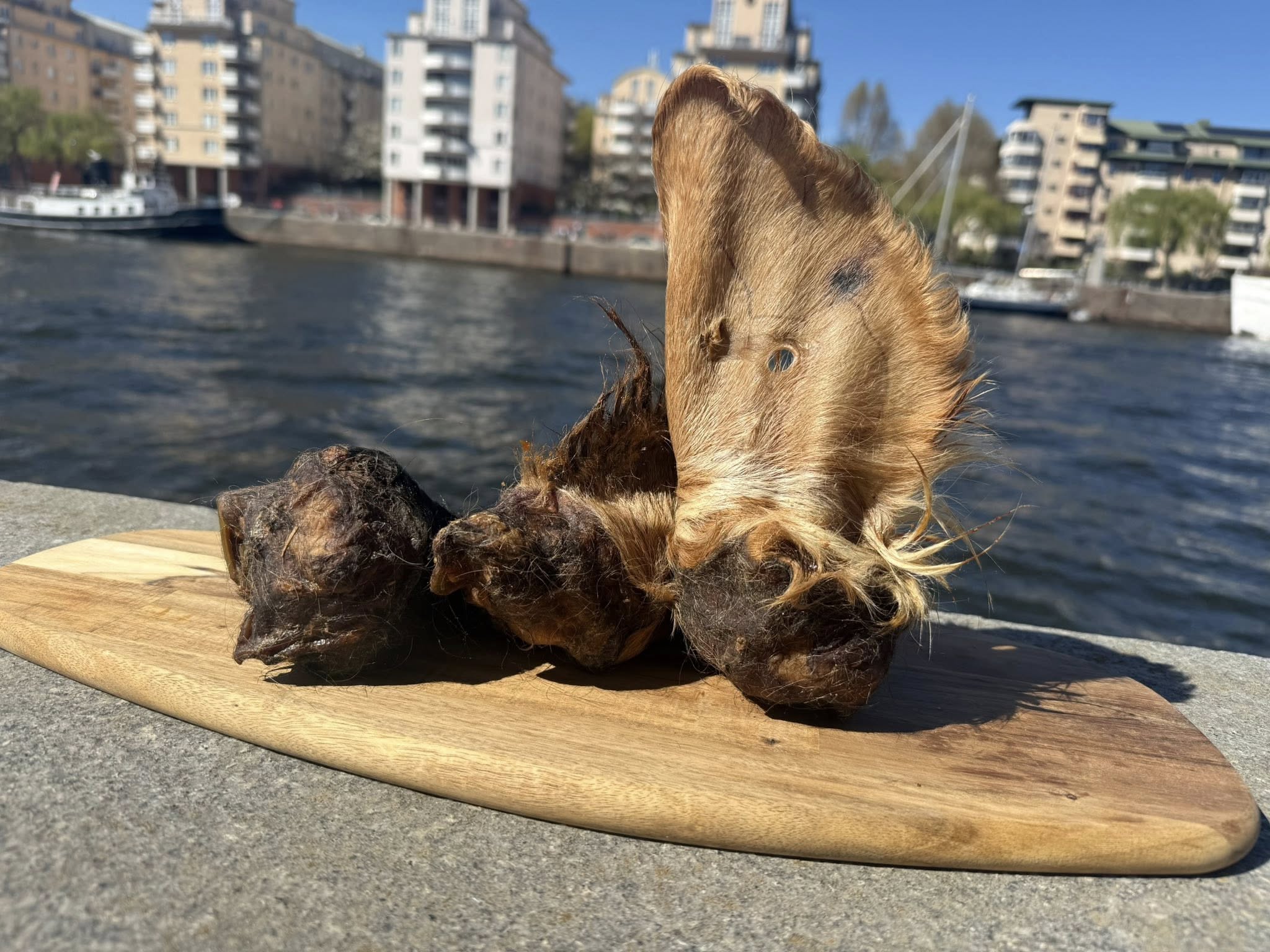 Extra stora oxöron med päls XL