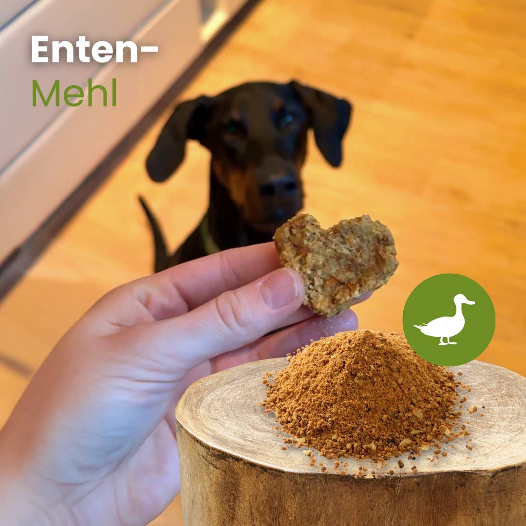 Kauartikel.com GmbH - Andmjöl - torkat och malt andkött utan konserveringsmedel