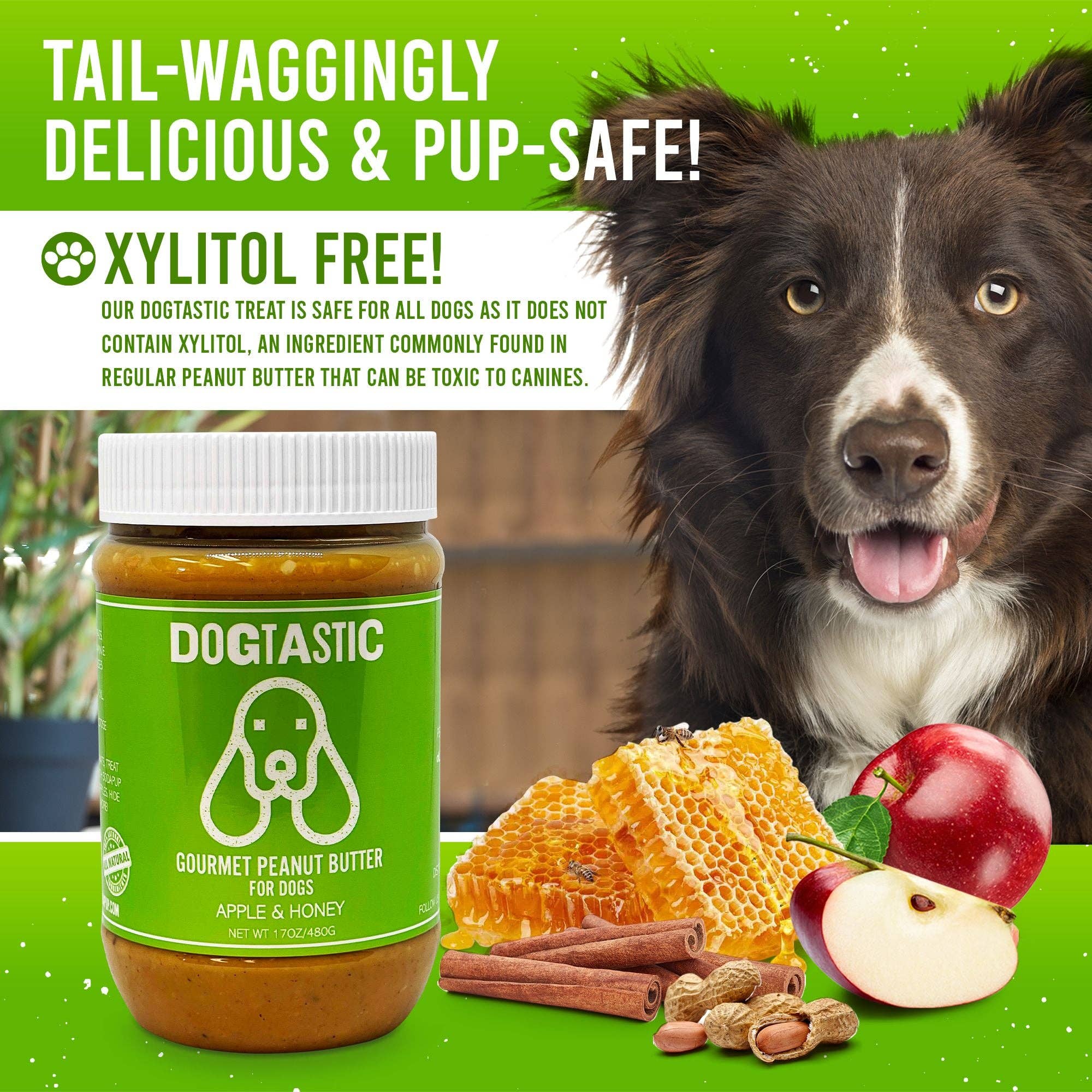 SodaPup Dogtastic Gourmet Jordnötssmör – Linfrö | Berikning för hund