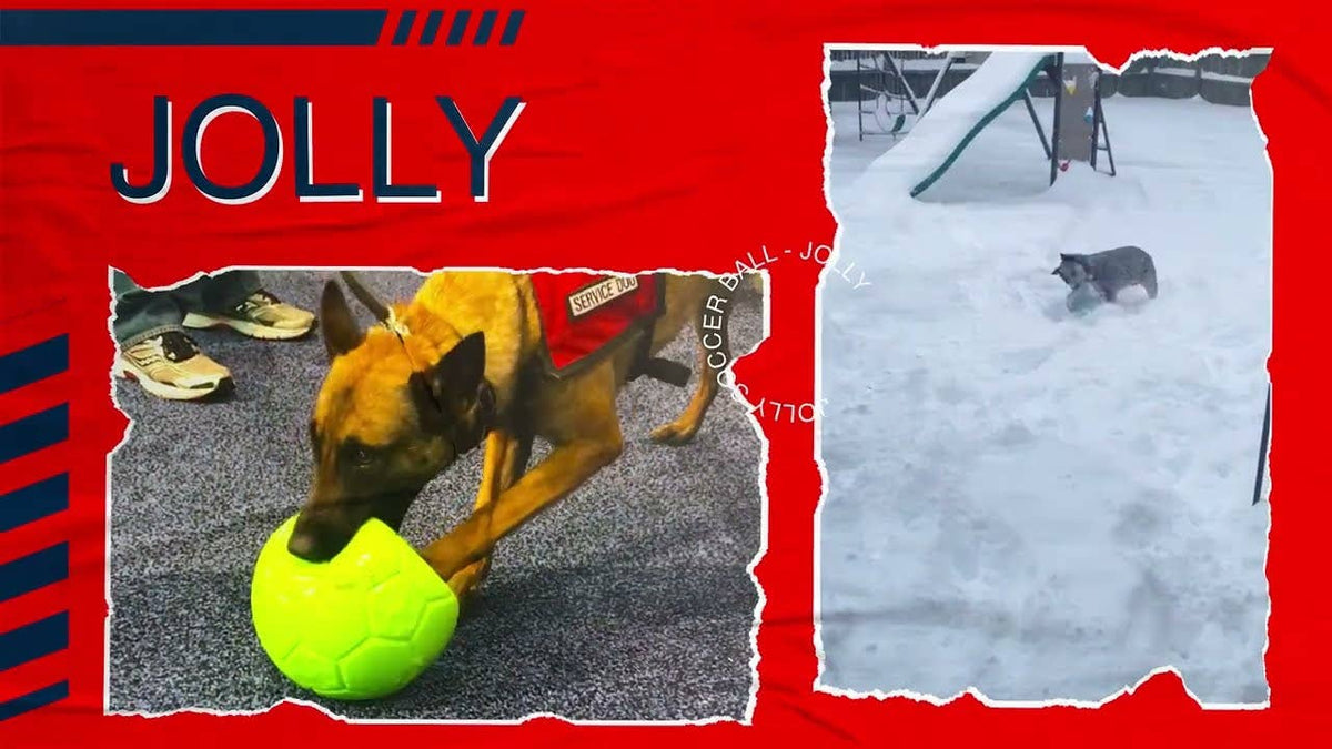 Jolly fotboll 20 cm mörkblå – tålig hundboll för lek, apportering och vatten