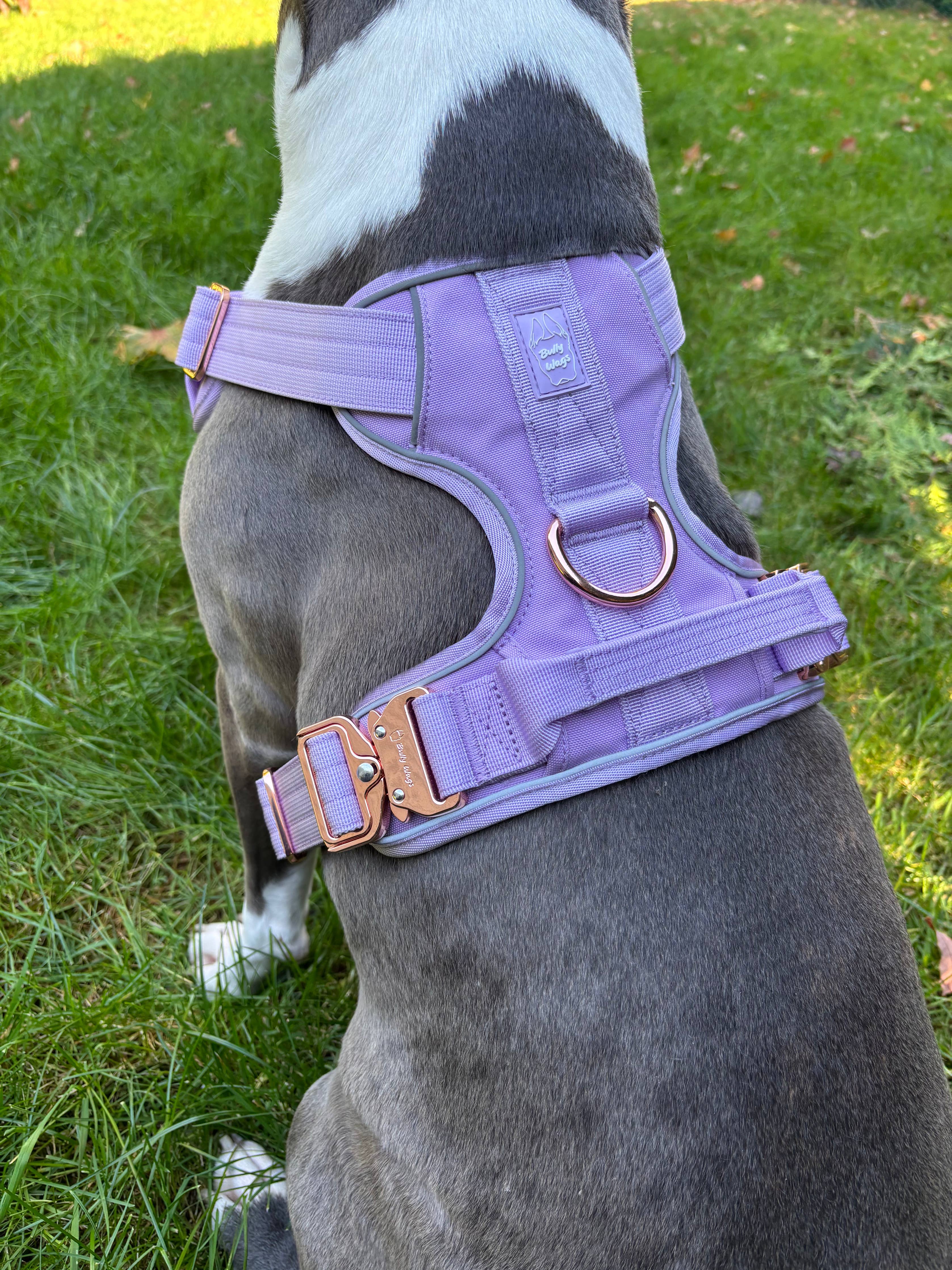 Bully Wags - Tungt Vardagssele - Lila: Medium