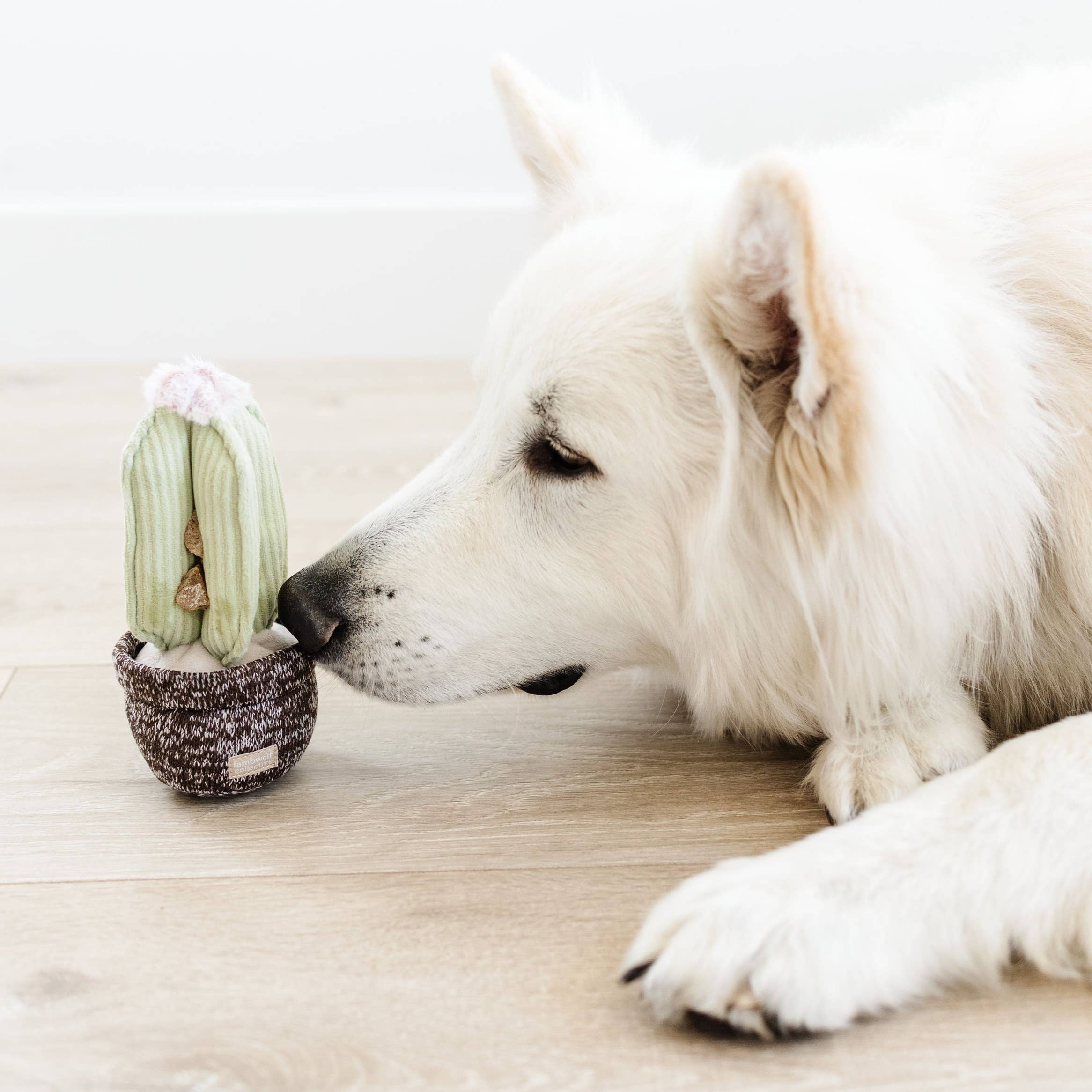 Lambwolf EU – CACTUS // Berikningsleksak för hund // Snuffle-leksak