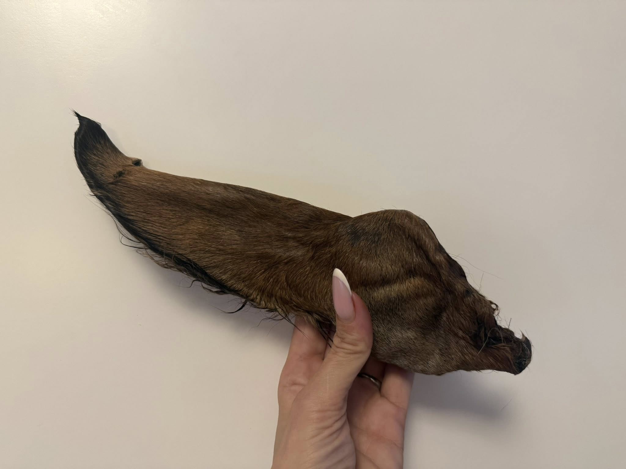Hästöron med päls – monoprotein hundtugg | Naturligt hundtugg