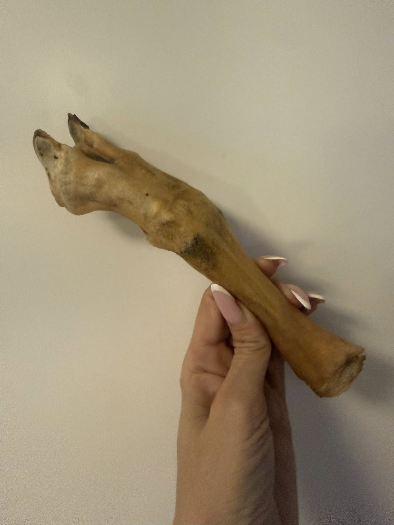 Getfötter 1 styck – naturligt hundtugg av get