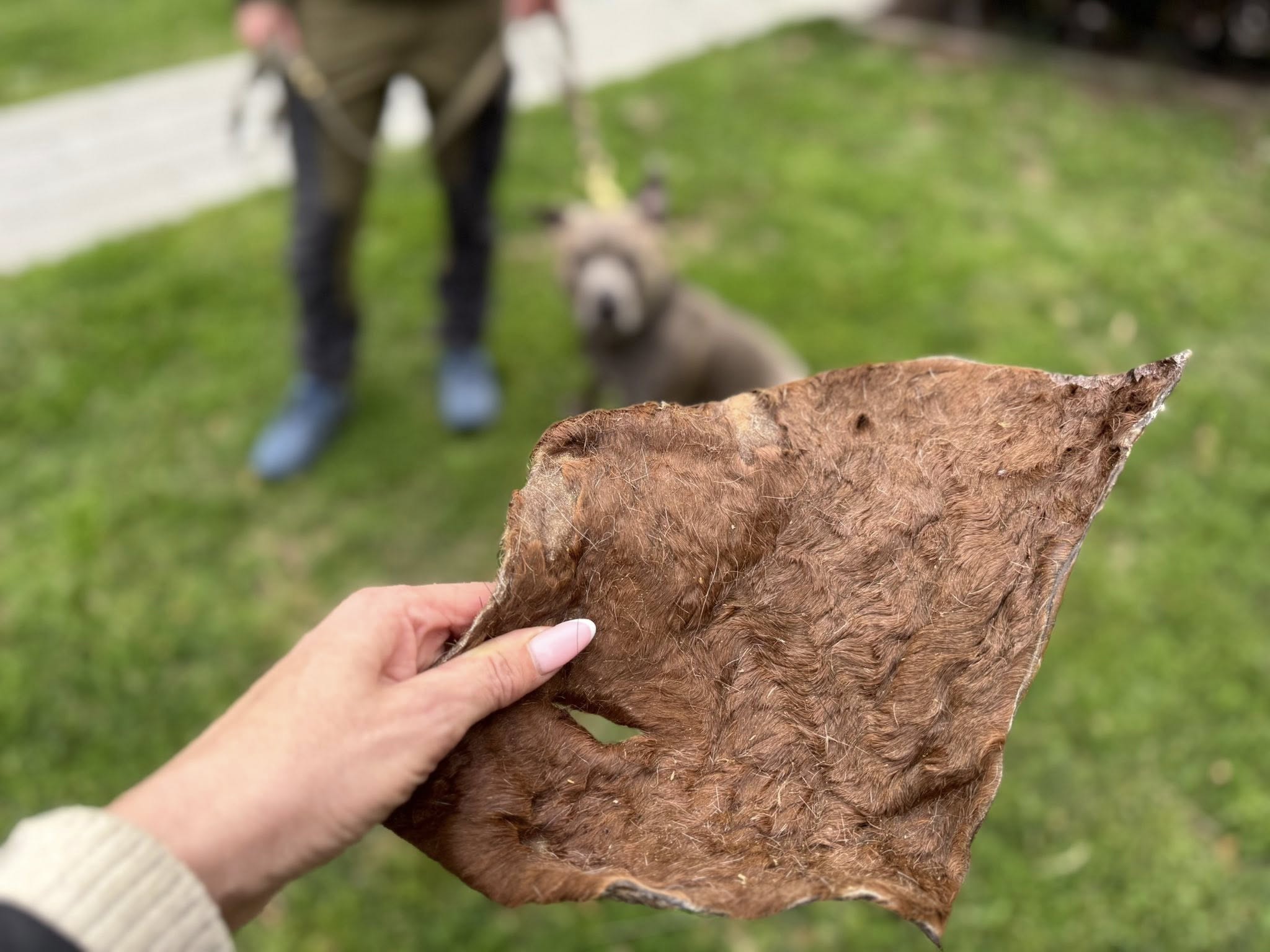 Nyhet! Hästhud med päls XXL – naturligt hundtugg med lång tuggtid