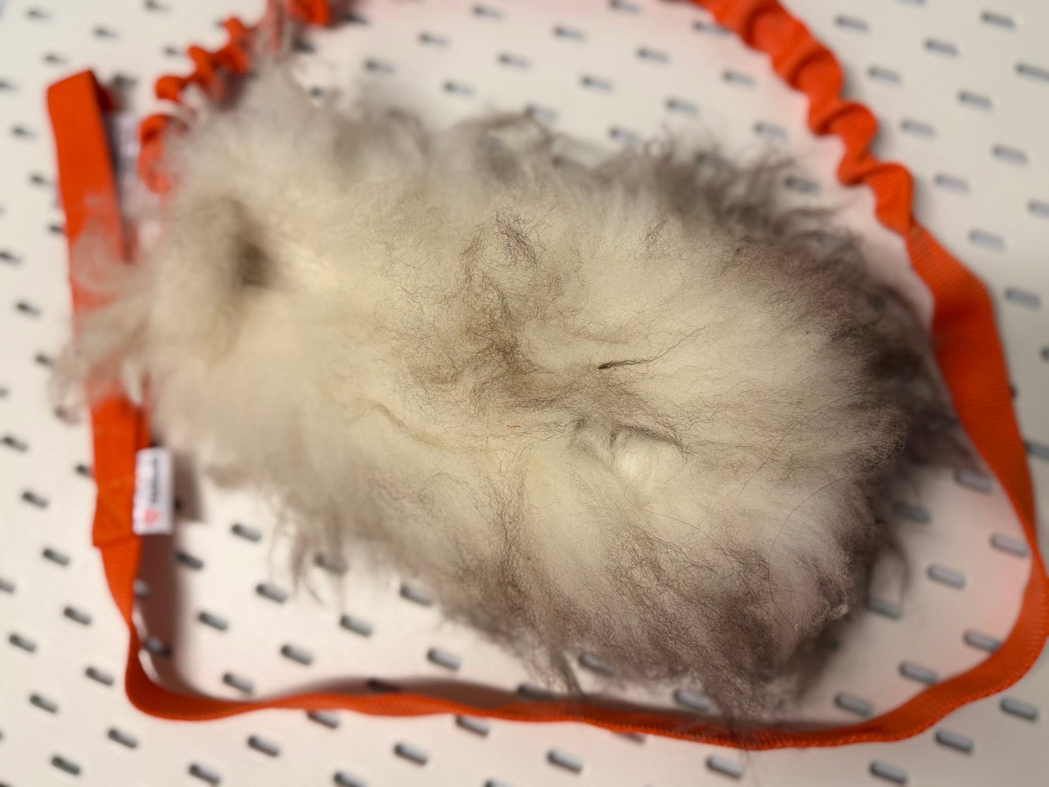 Träningsleksak för Hund – Fårpäls & Bungee med Långt Handtag