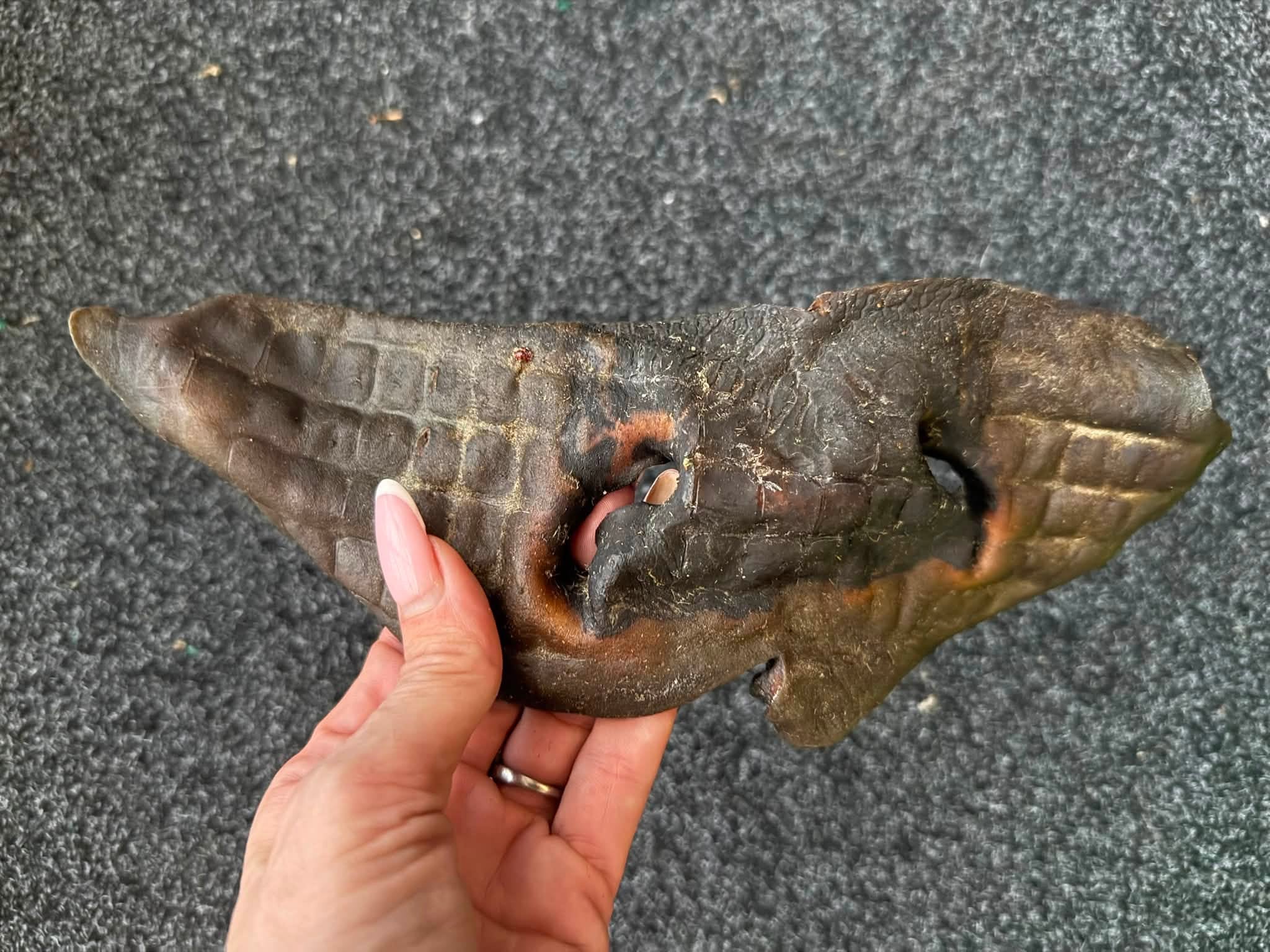 Lufttorkad Nötmule 350 g
