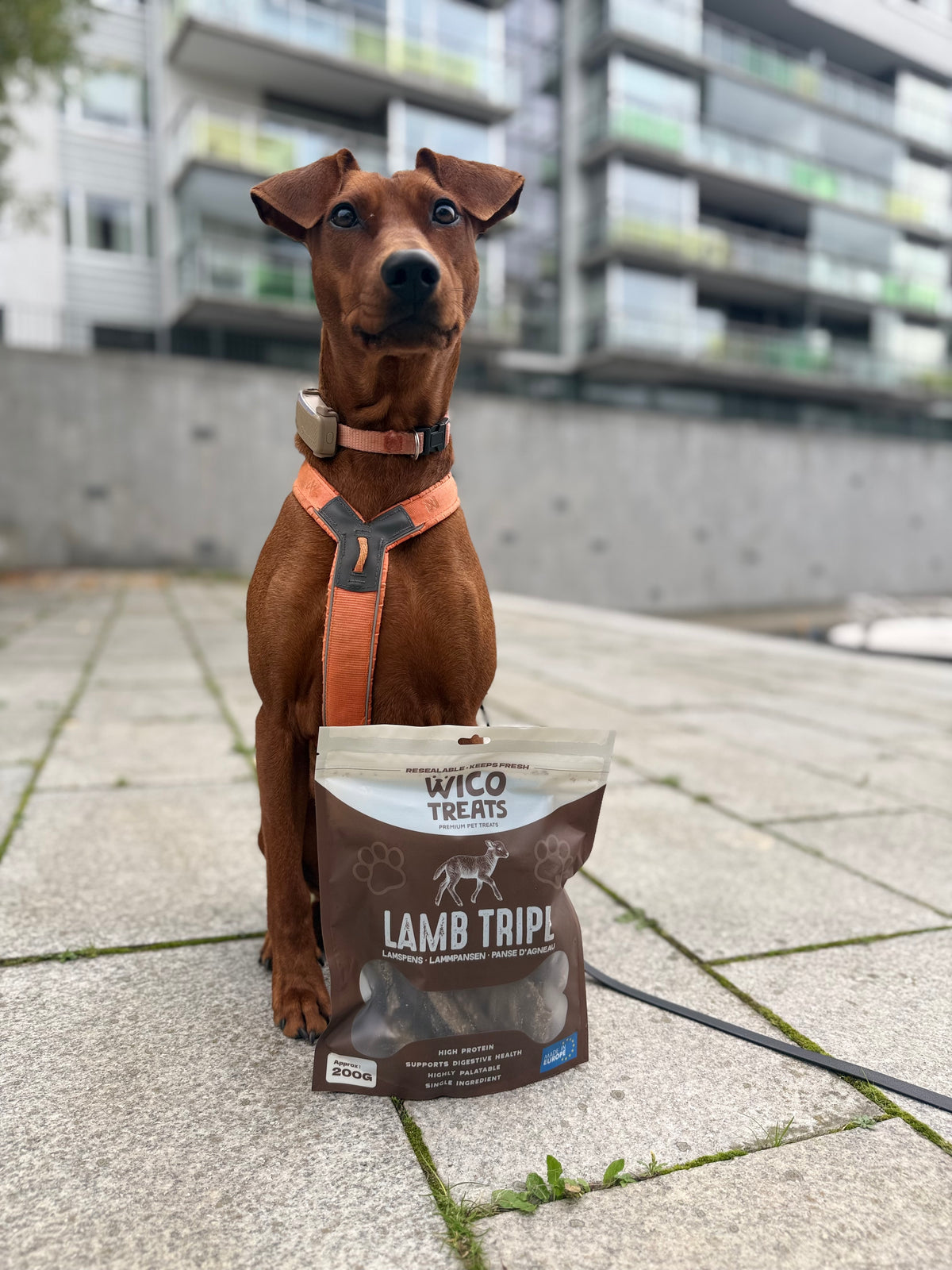 Lammvåm 200 g – monoprotein lamm